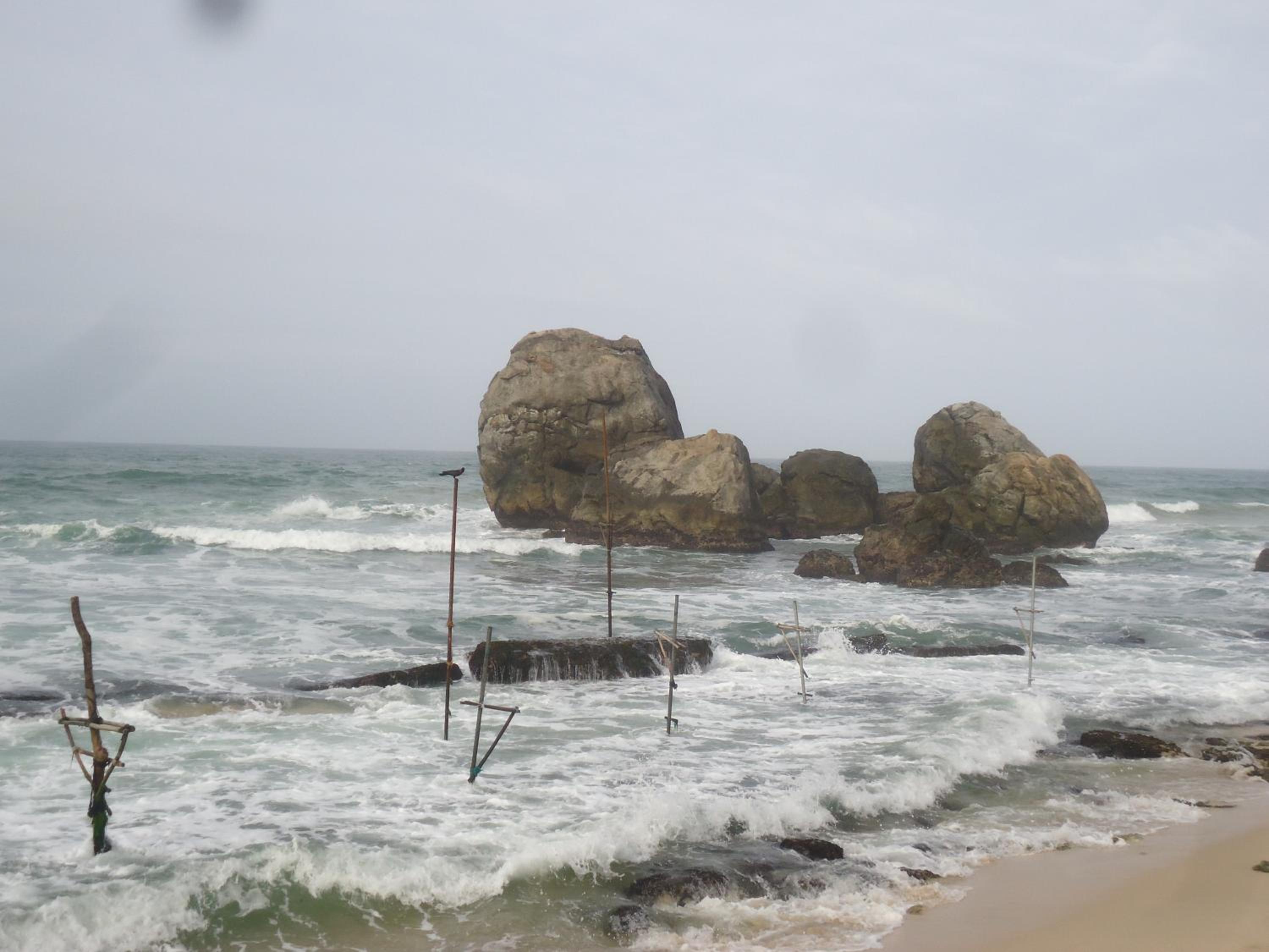 Photo 41