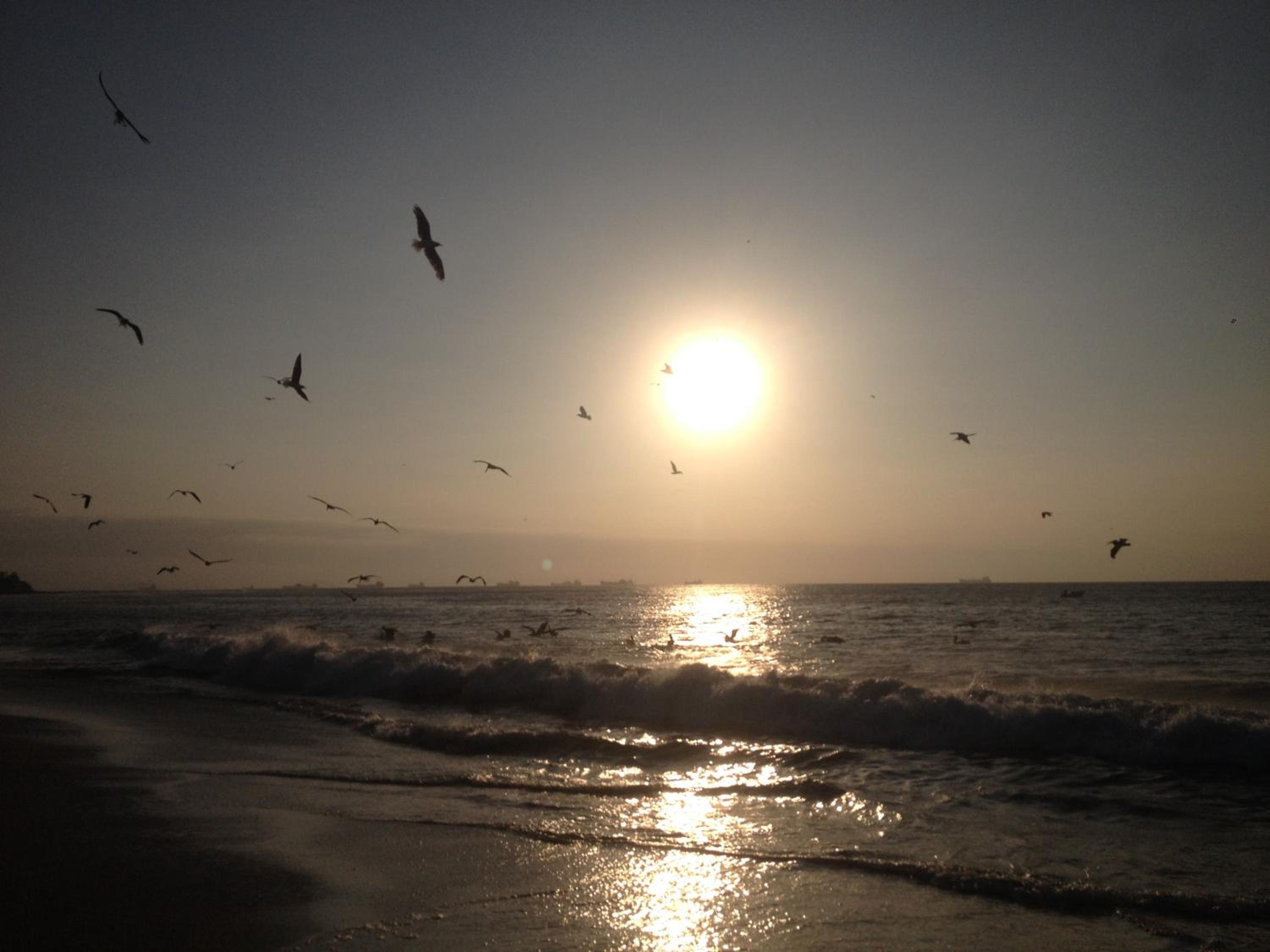Photo 42