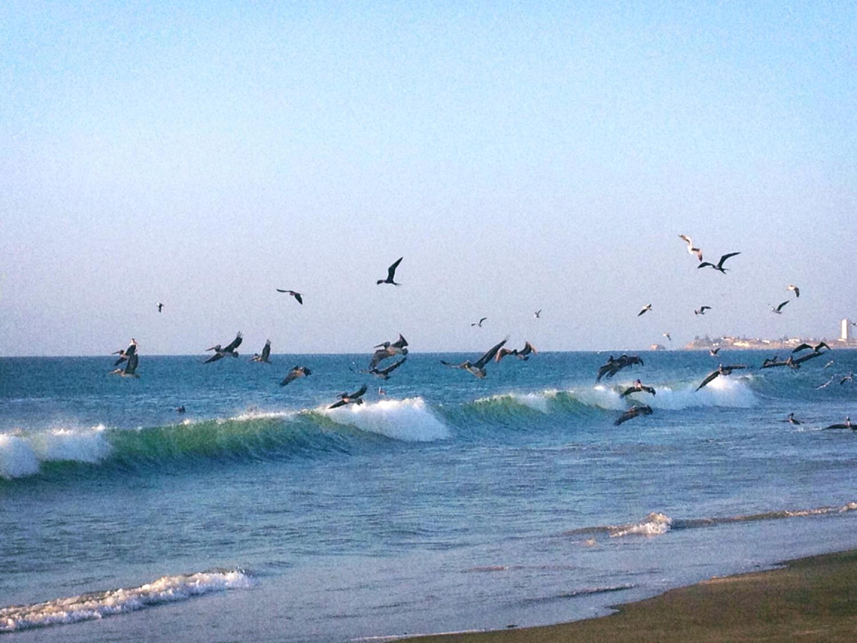 Photo 43