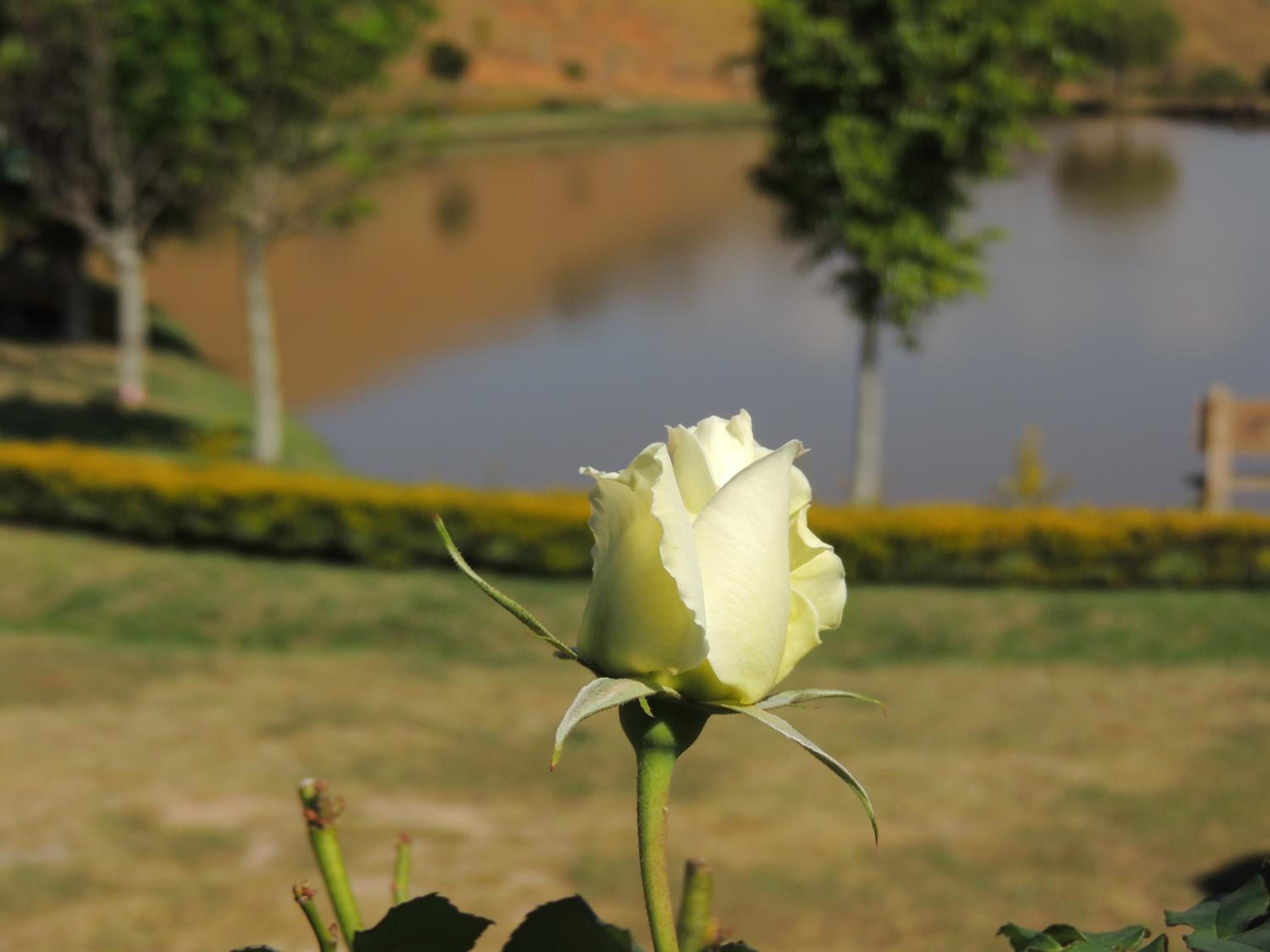 Tocas do Lago
