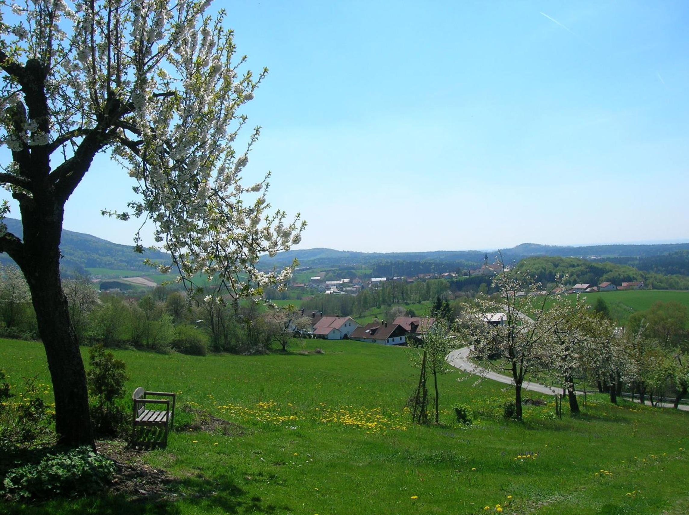Ferienwohnung Zur schönen Aussicht view 3