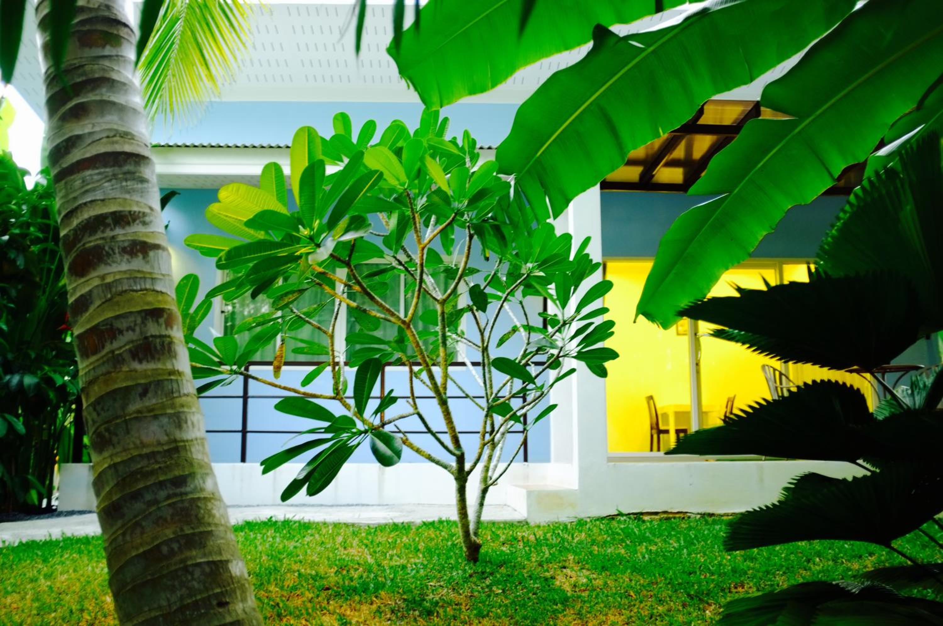 The Nature House Aonang Krabi Thailand view 3