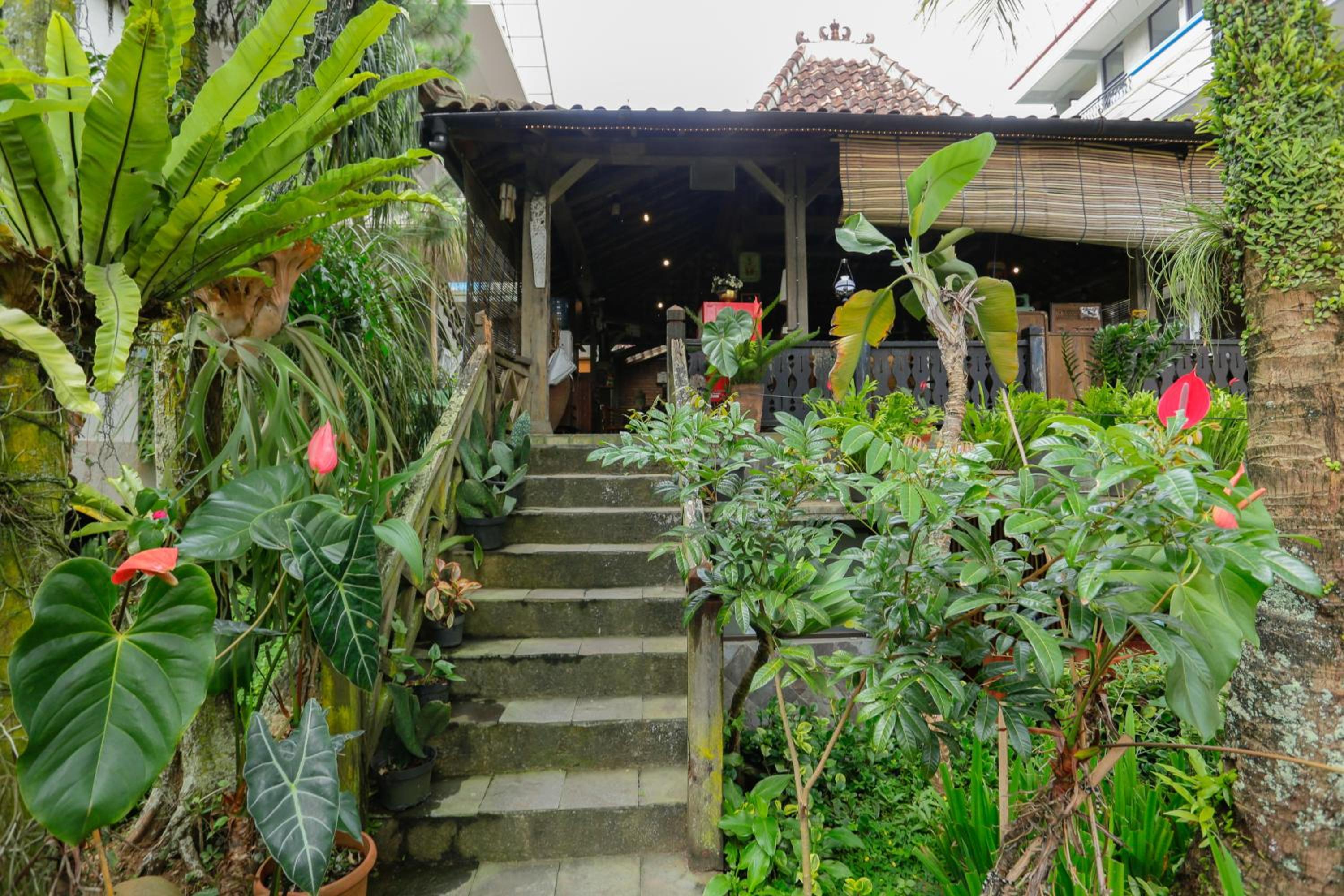 RedDoorz at Palagan Joglo Sersan Bajuri