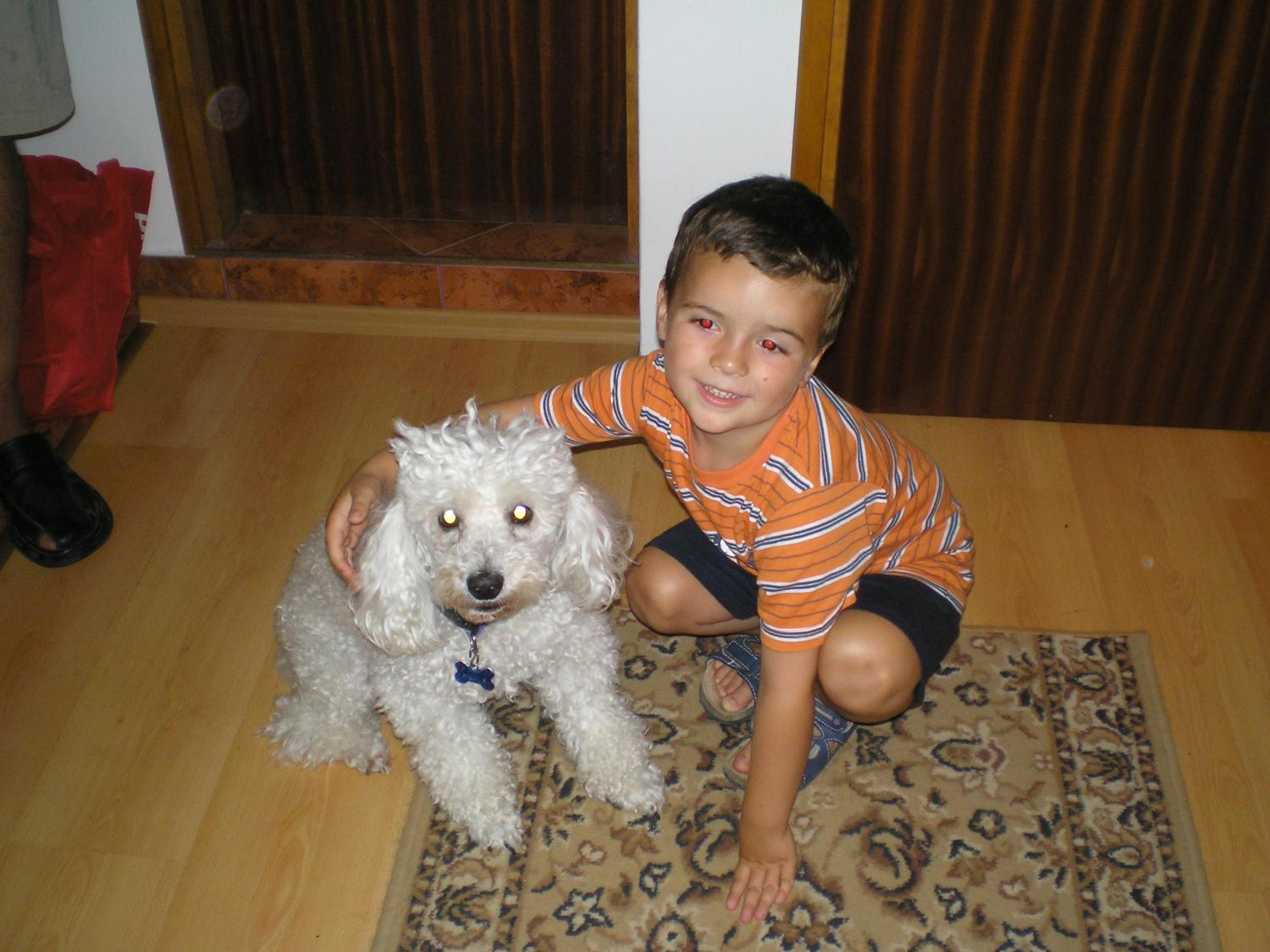 Photo 36