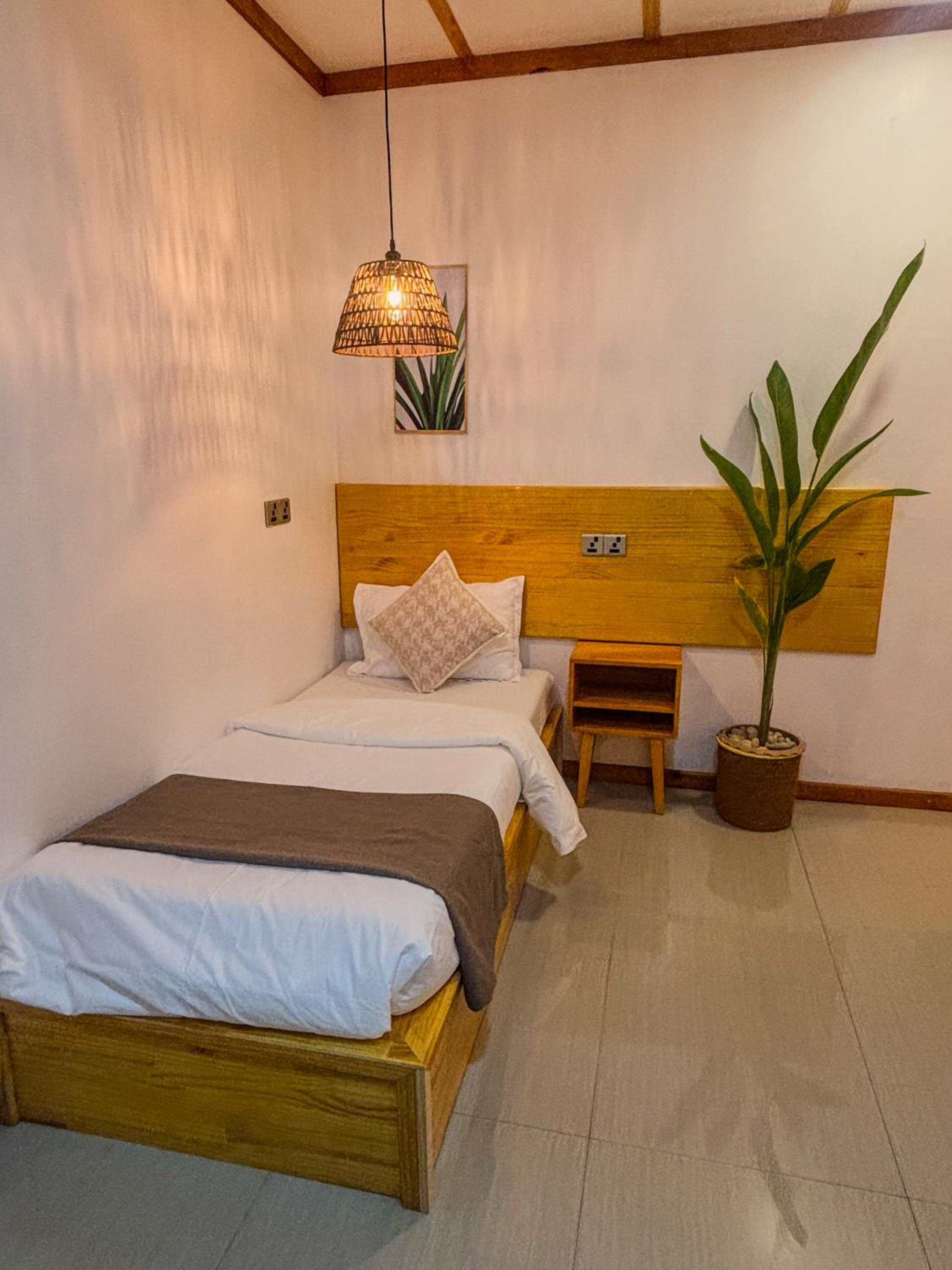 Eco Palm Mathiveri - Guest House with Complimentary Shared Kitchen & Laundry