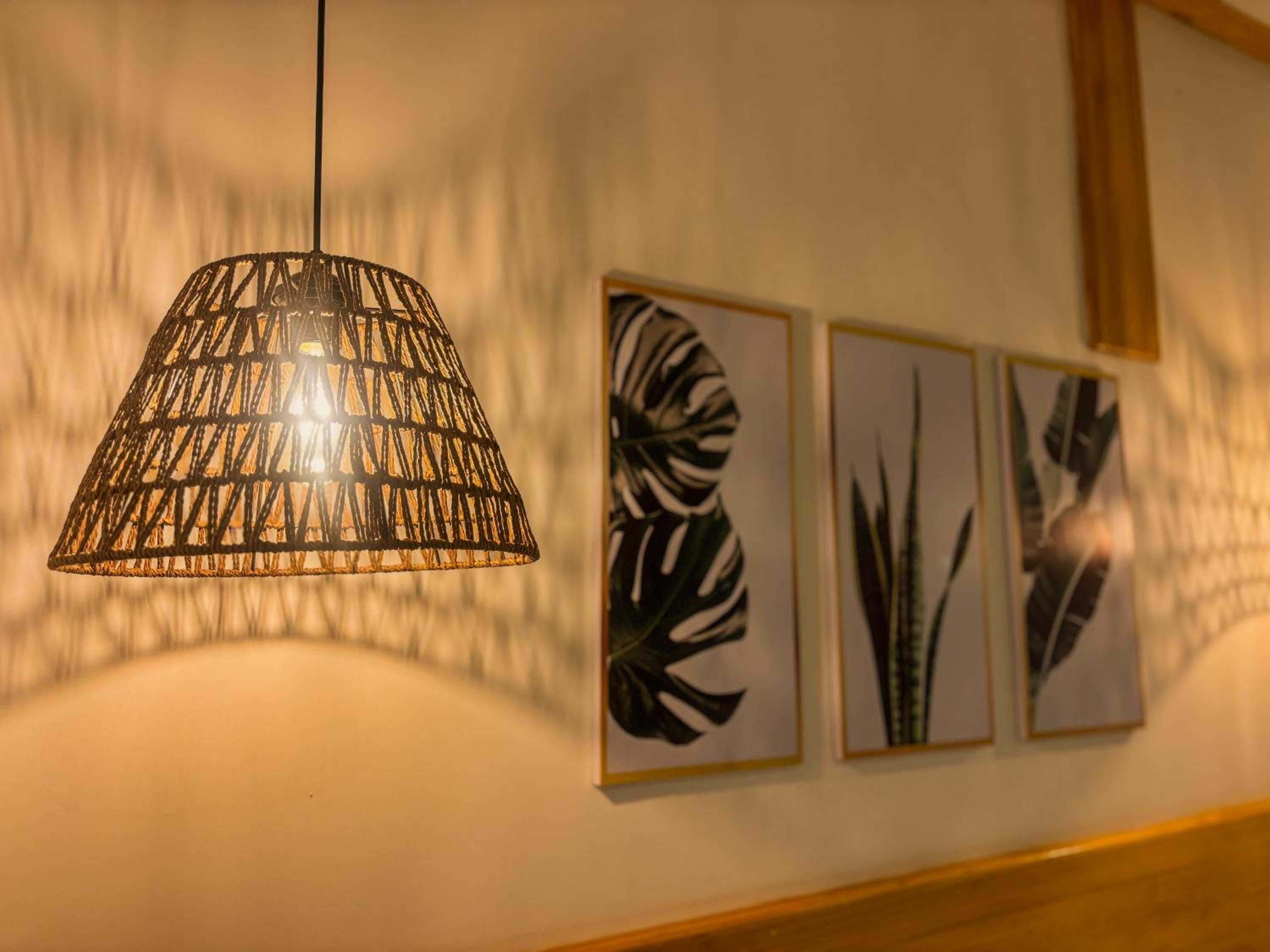 Eco Palm Mathiveri - Guest House with Complimentary Shared Kitchen & Laundry