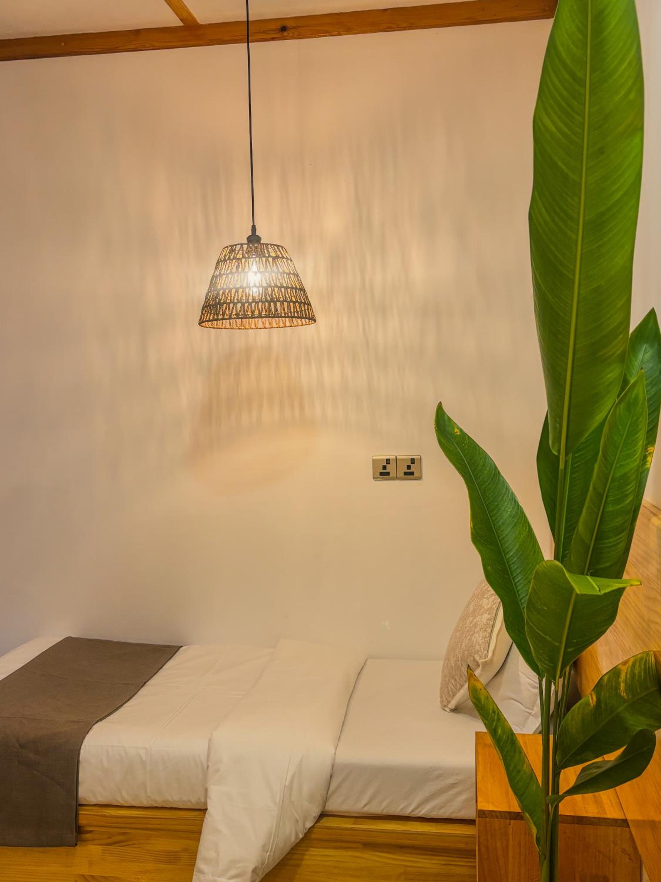 Eco Palm Mathiveri - Guest House with Complimentary Shared Kitchen & Laundry