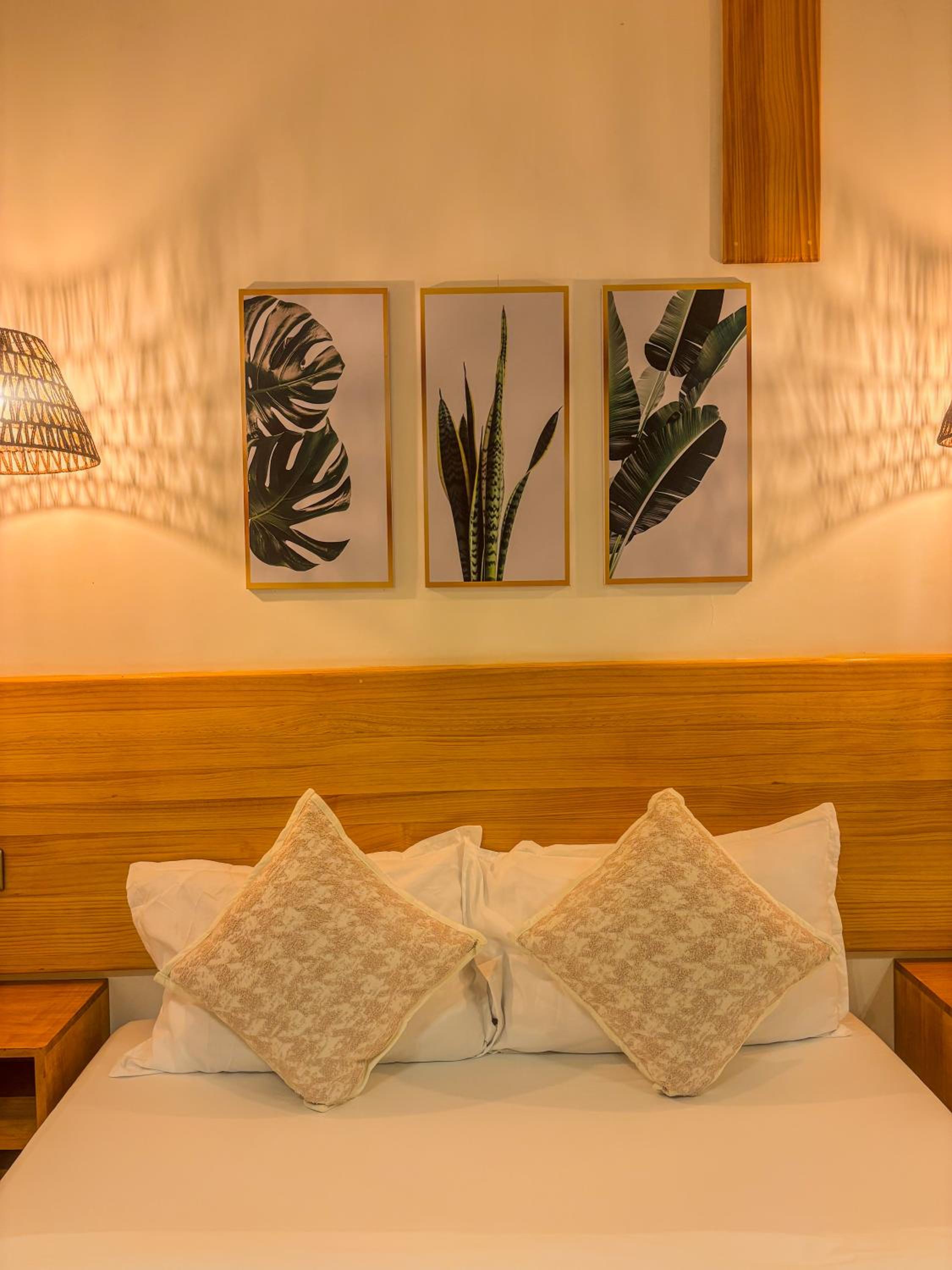 Eco Palm Mathiveri - Guest House with Complimentary Shared Kitchen & Laundry
