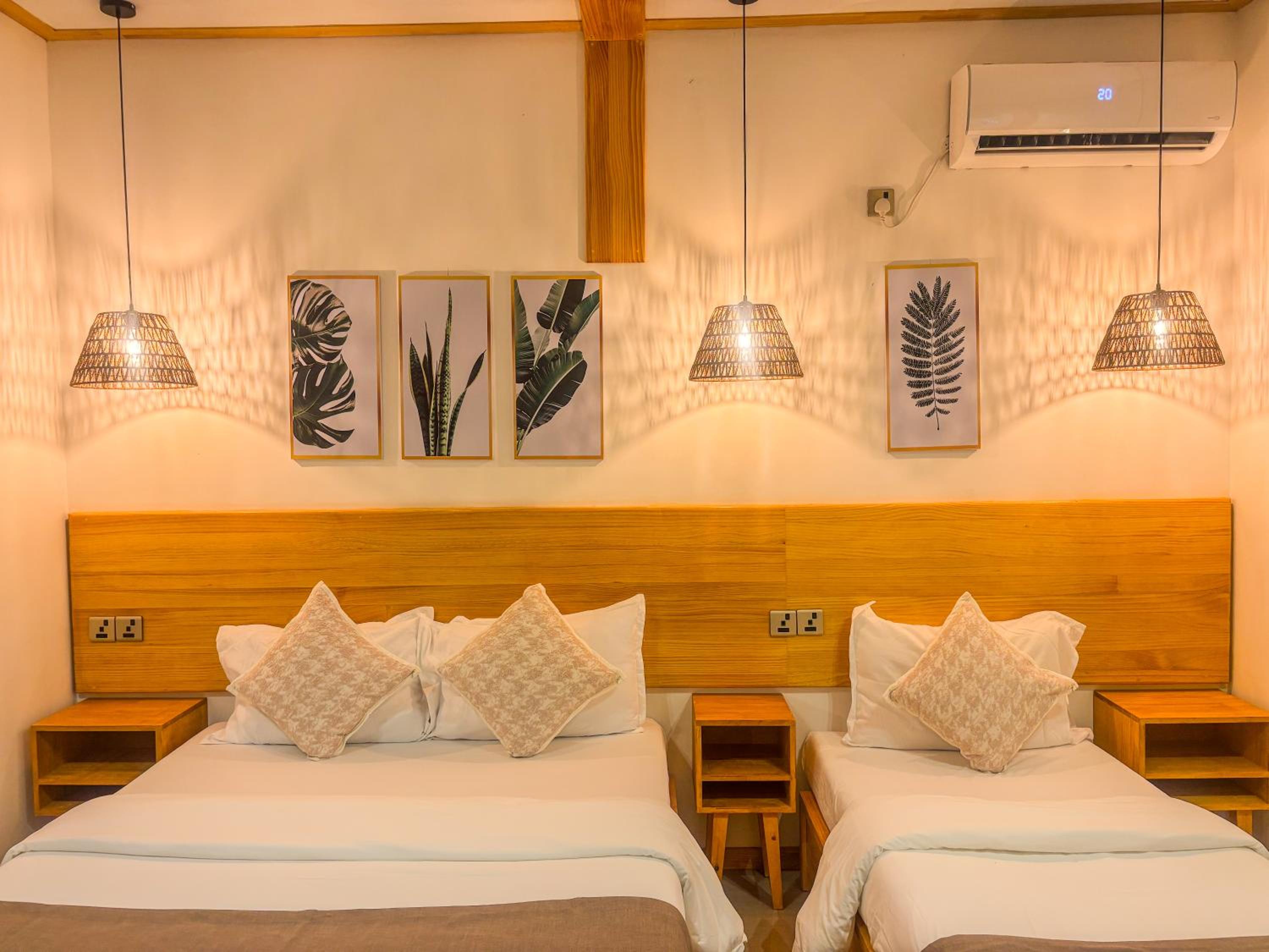 Eco Palm Mathiveri - Guest House with Complimentary Shared Kitchen & Laundry