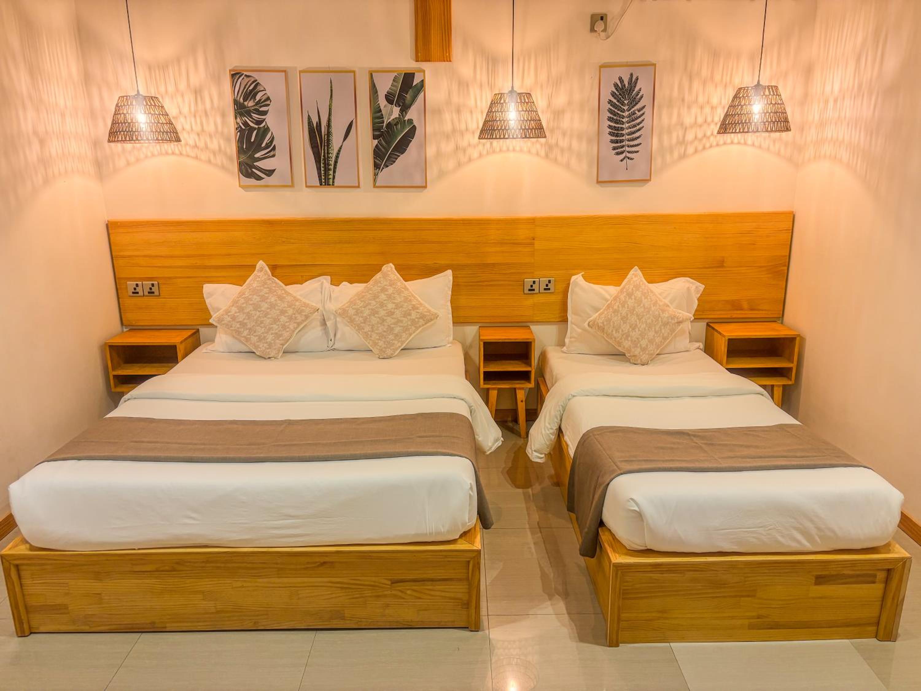 Eco Palm Mathiveri - Guest House with Complimentary Shared Kitchen & Laundry