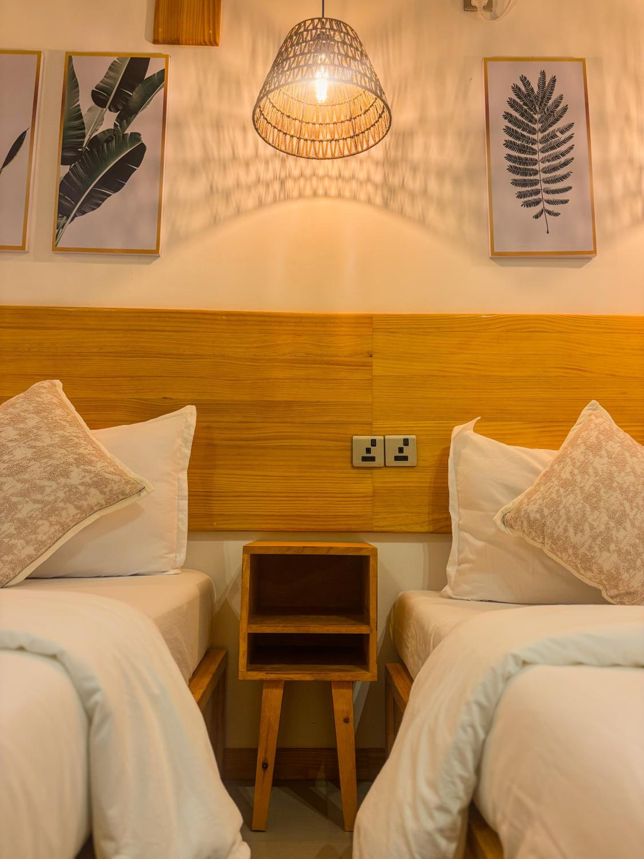 Eco Palm Mathiveri - Guest House with Complimentary Shared Kitchen & Laundry