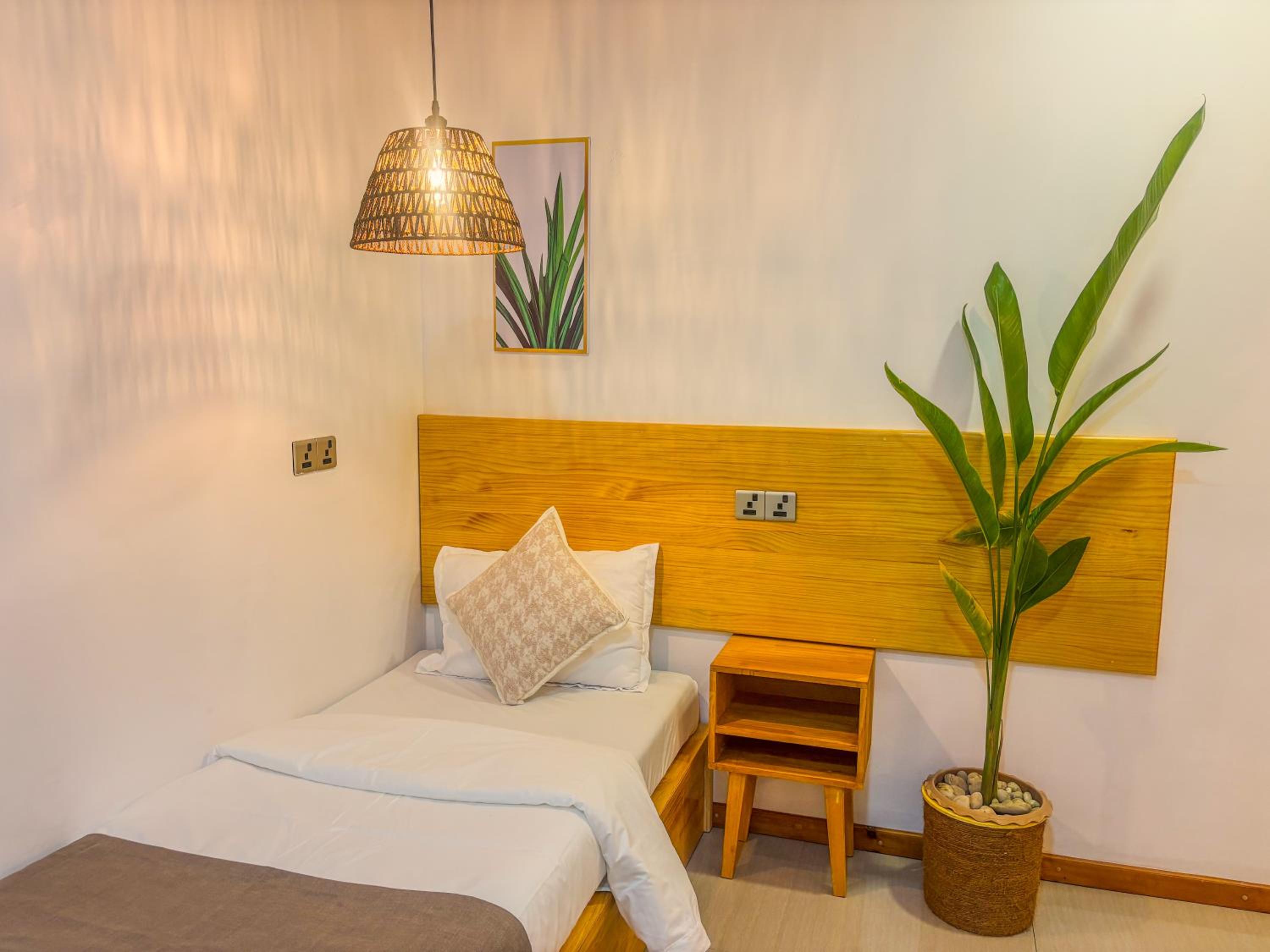 Eco Palm Mathiveri - Guest House with Complimentary Shared Kitchen & Laundry