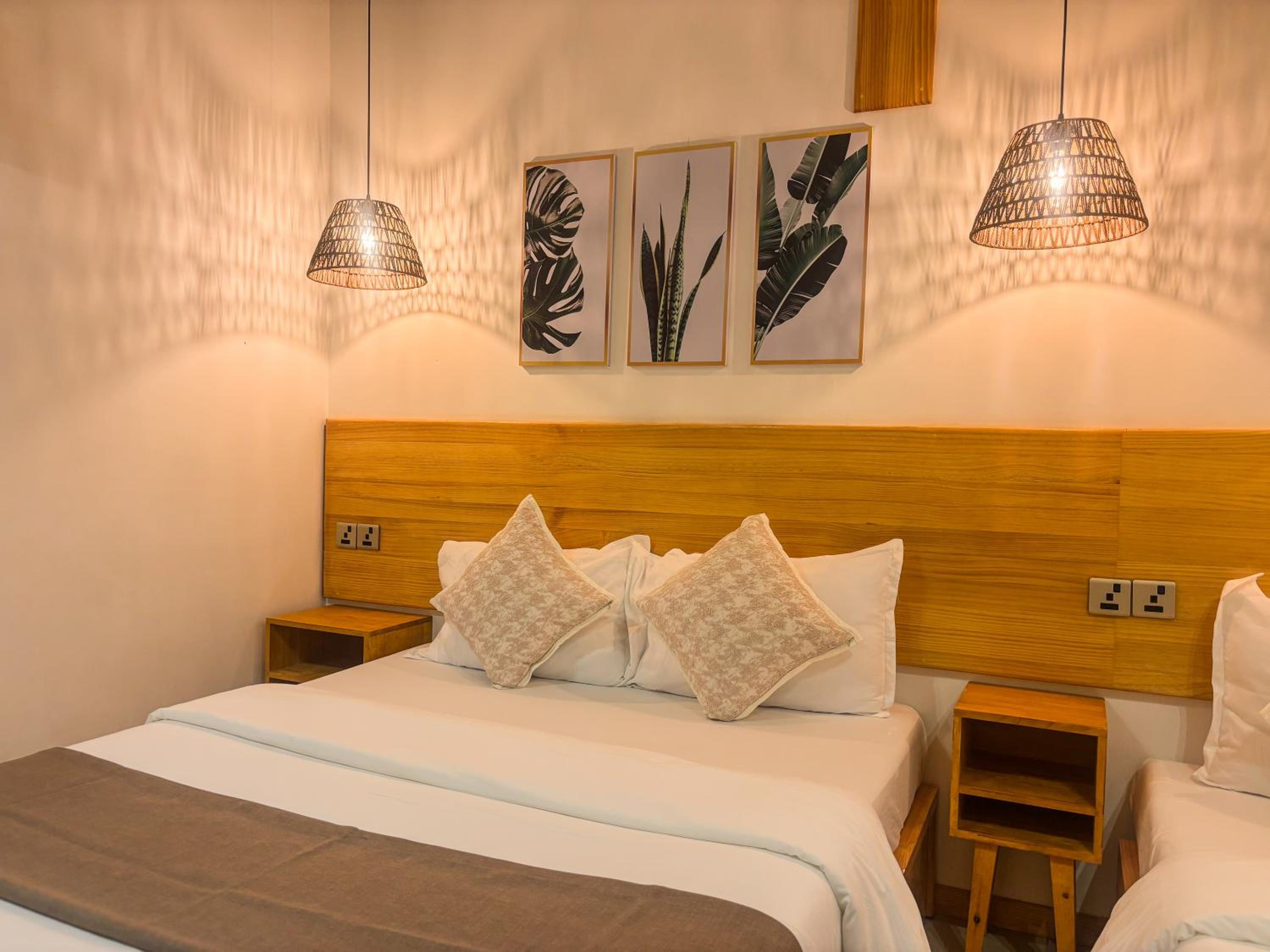 Eco Palm Mathiveri - Guest House with Complimentary Shared Kitchen & Laundry