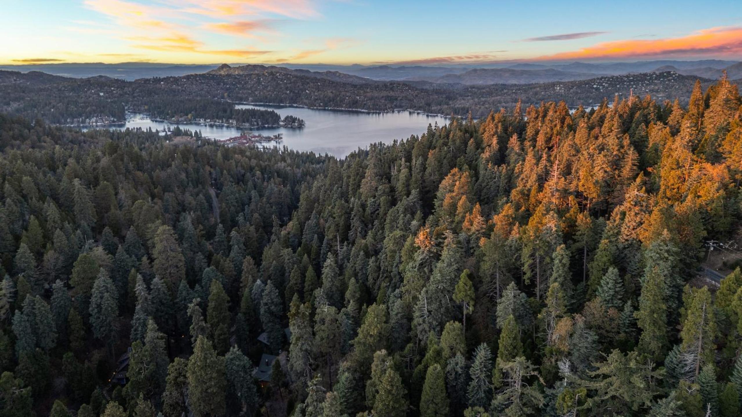 Minutes to Lake Arrowhead Village Cozy Secluded Cedar Cove by AvantStay