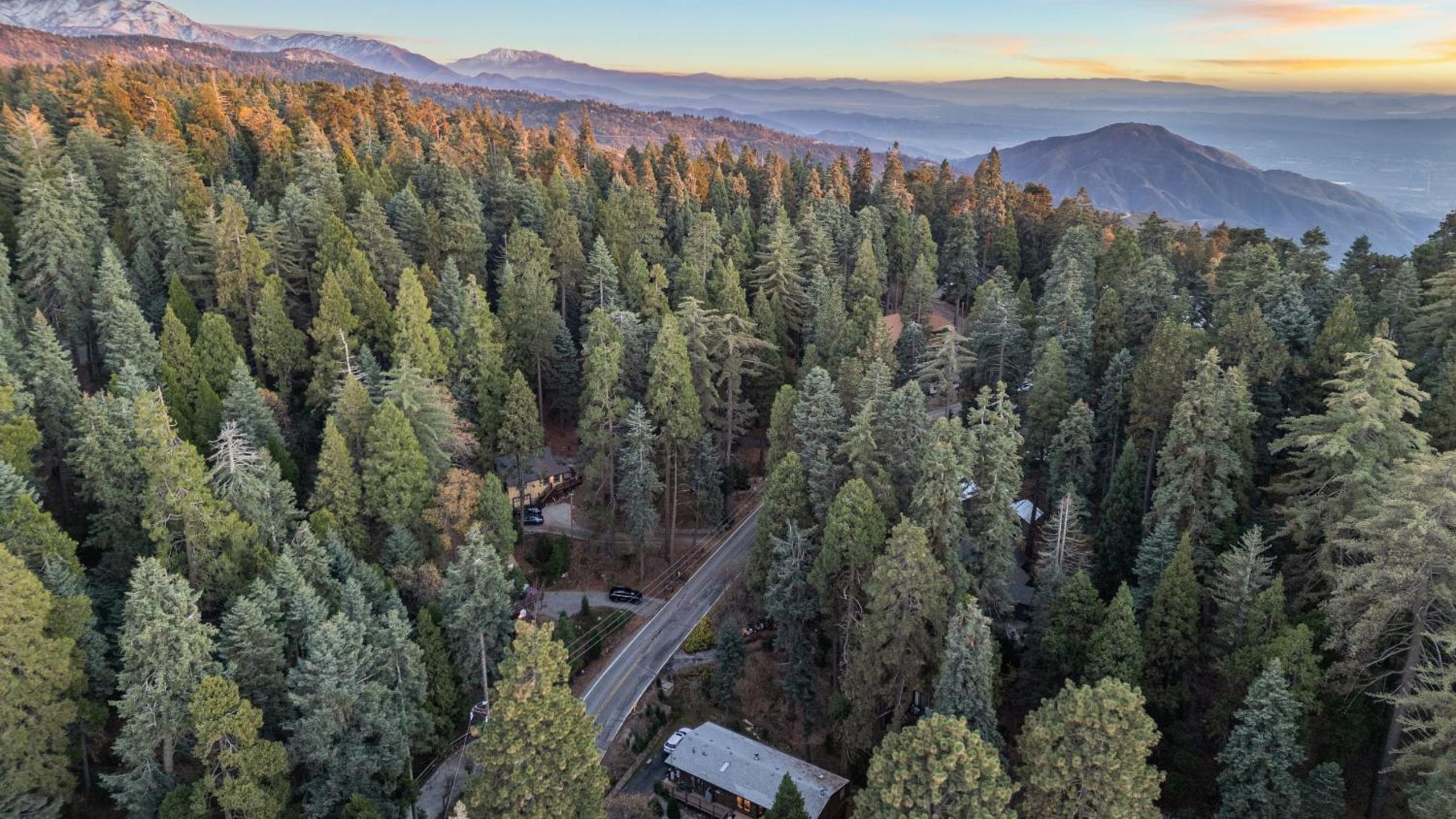 Minutes to Lake Arrowhead Village Cozy Secluded Cedar Cove by AvantStay