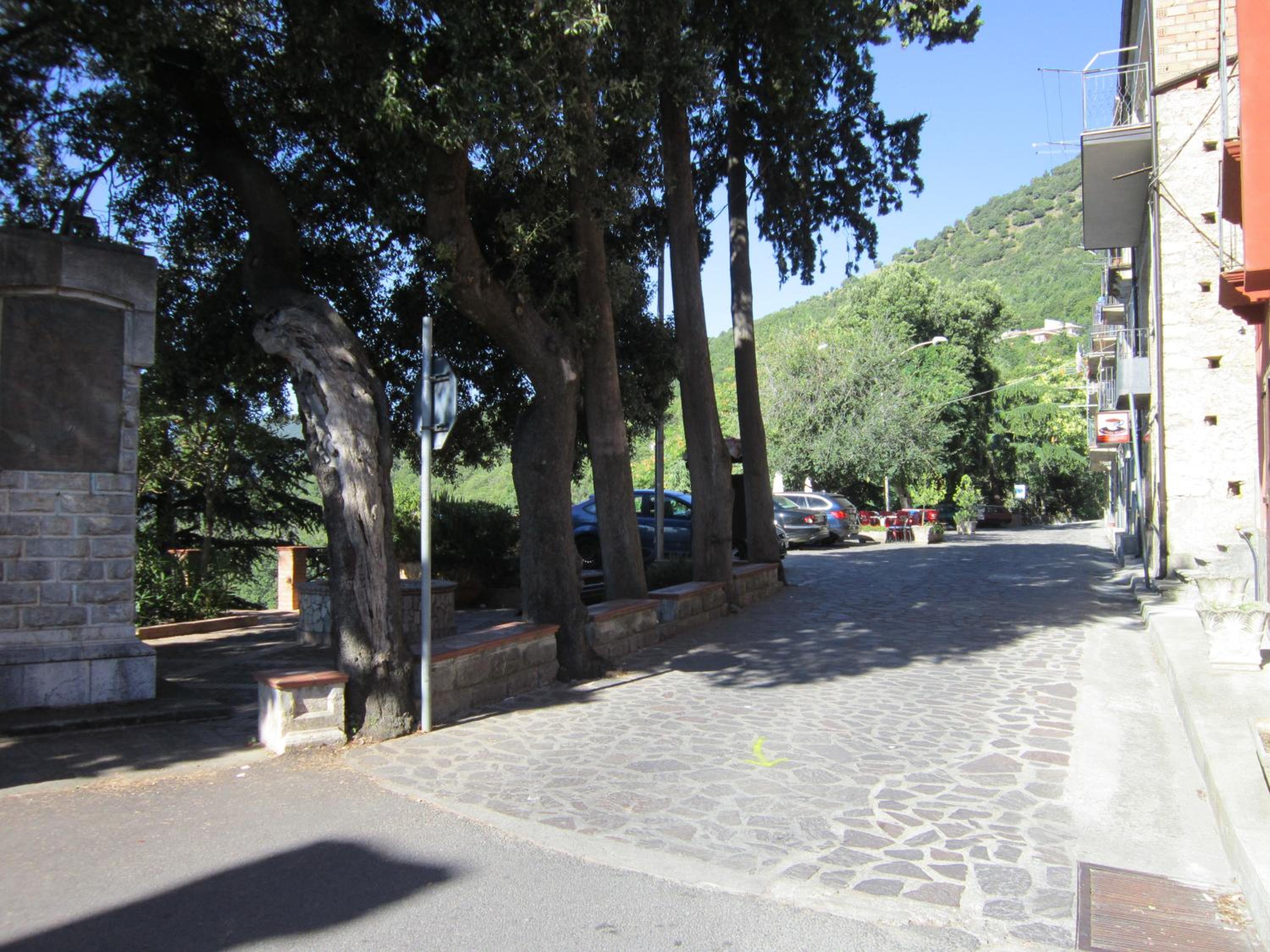 Photo 42