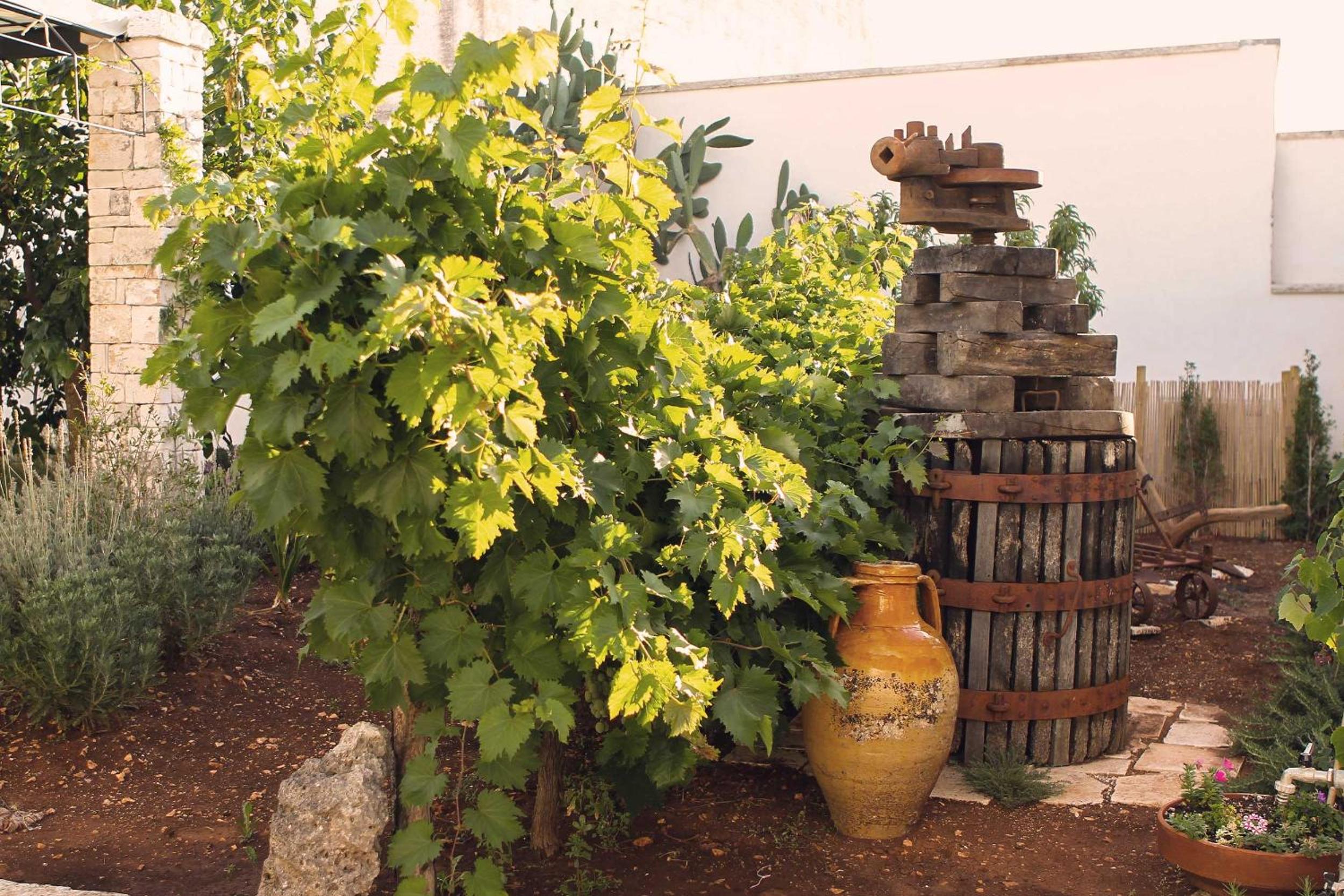Corte Trullo Sovrano B&B view 5