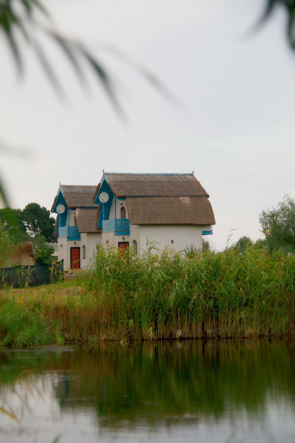 Vulturul Pescar