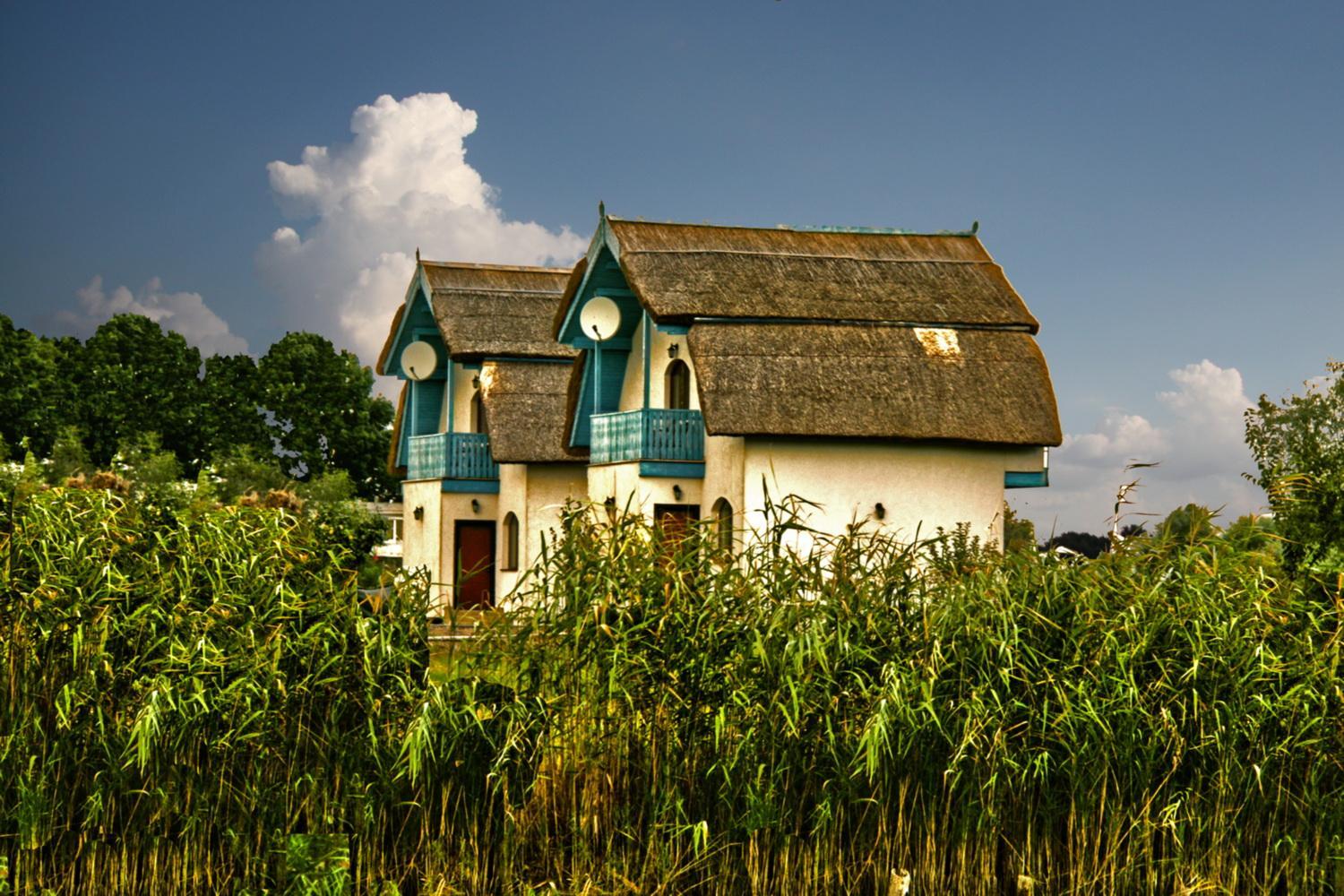 Vulturul Pescar