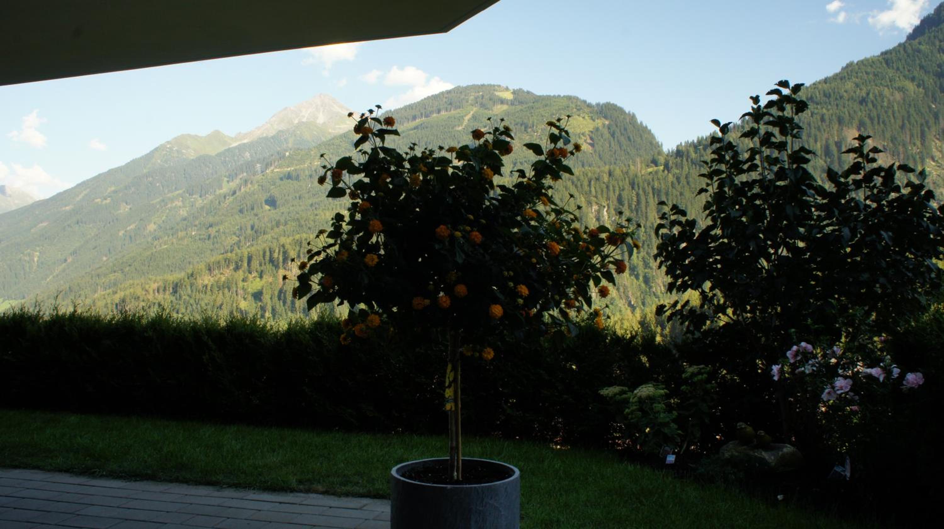 Bergblick