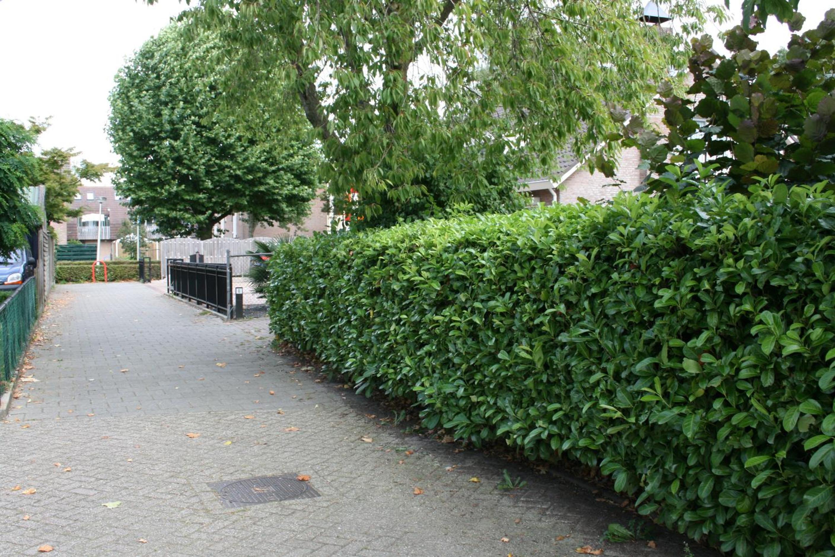 Photo 16