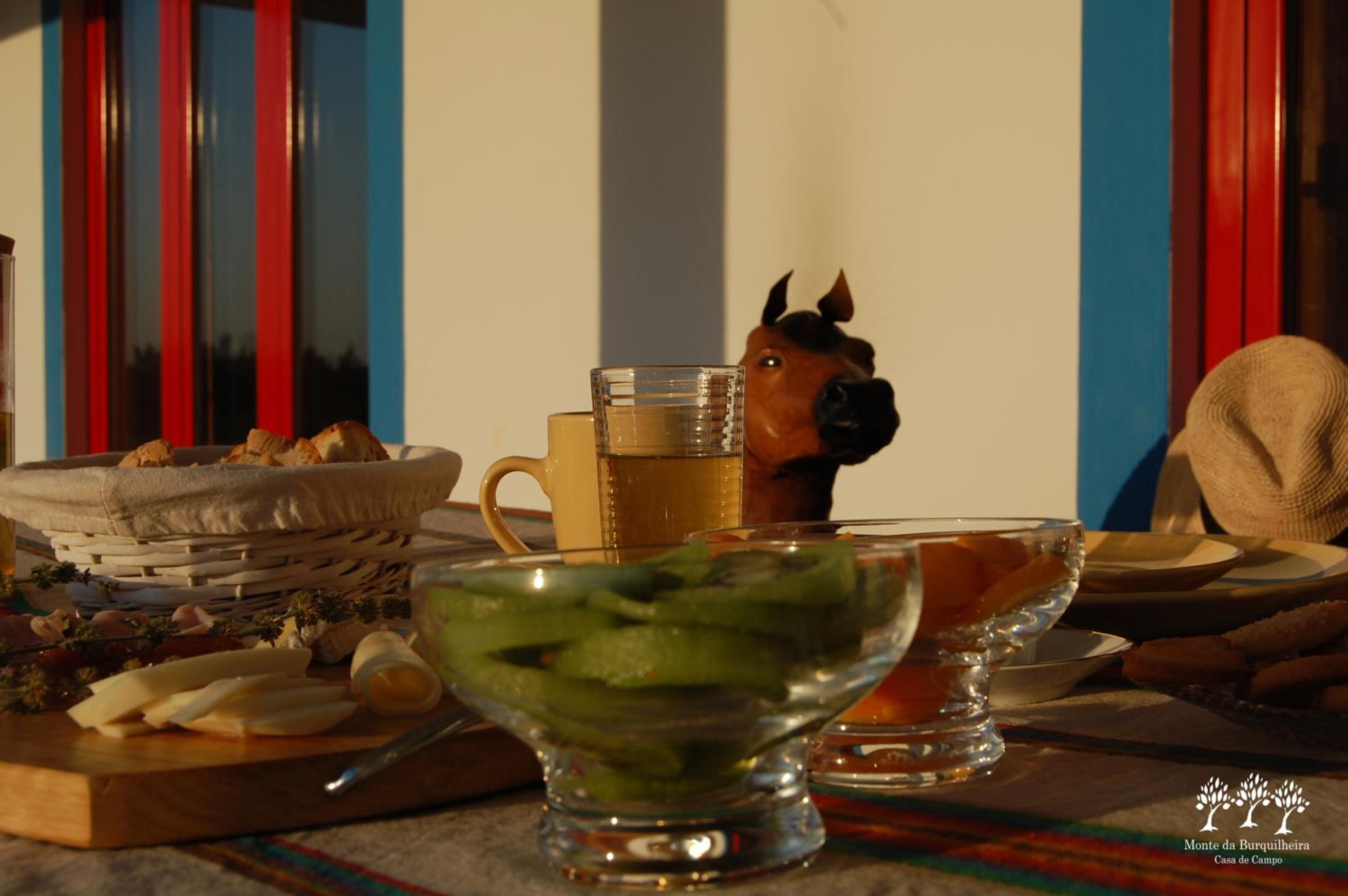 Herdade da Burquilheira Family Retreat view 3
