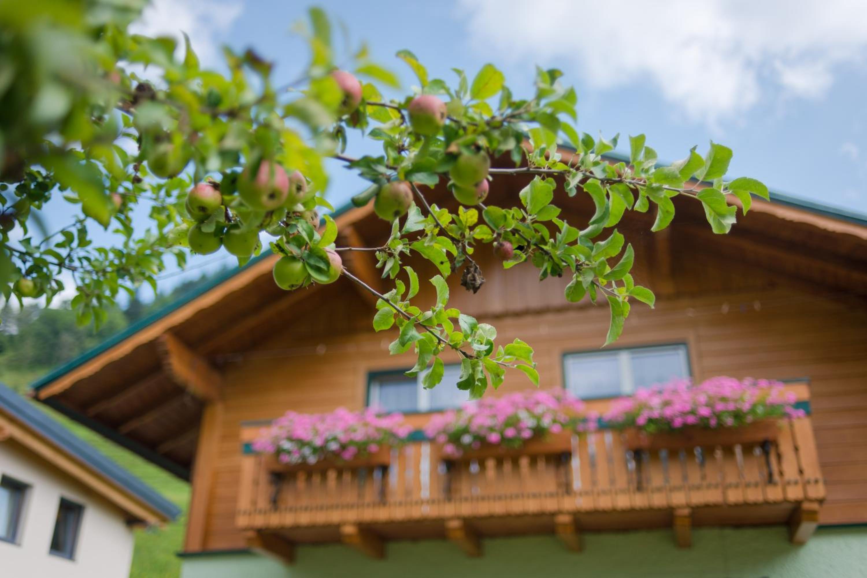 Ferienhaus Evi