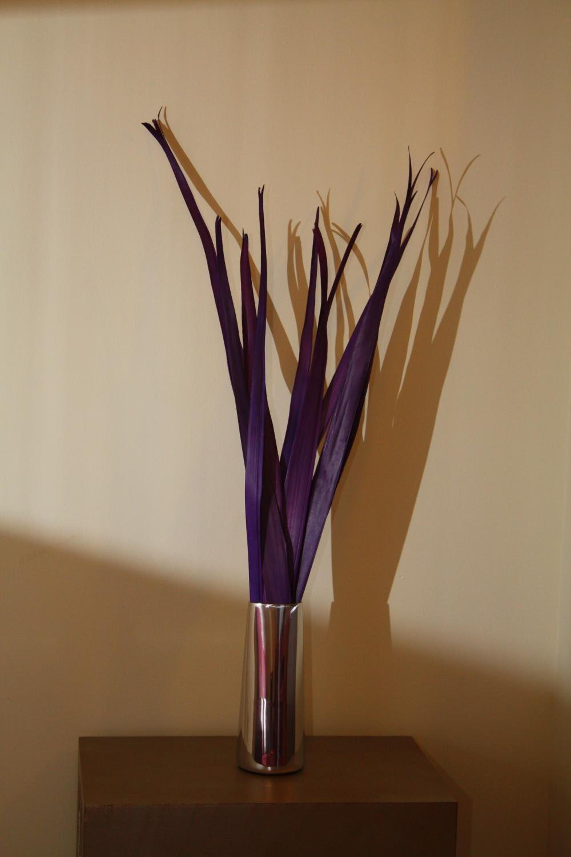 Singular Pilatos