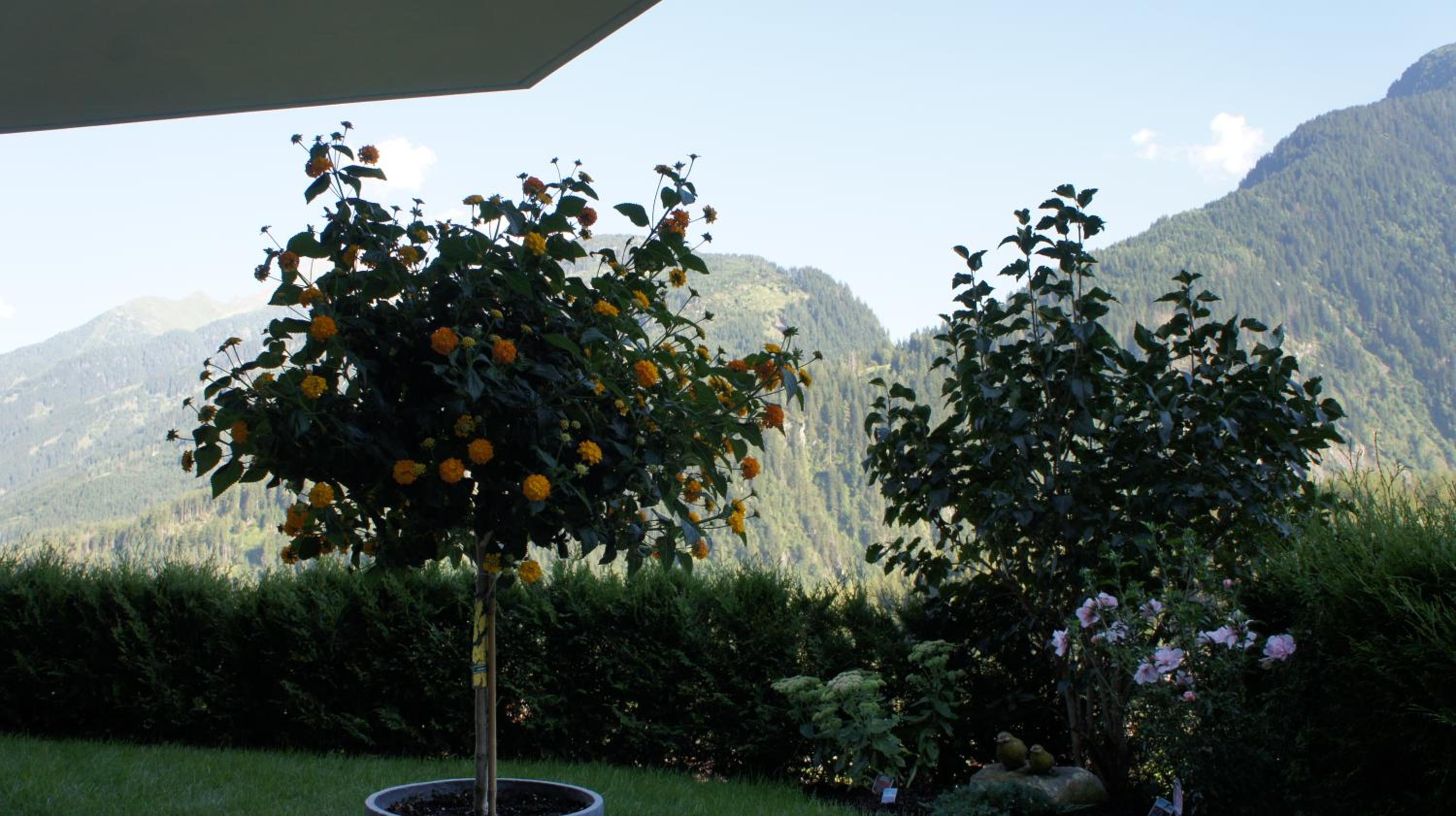 Bergblick