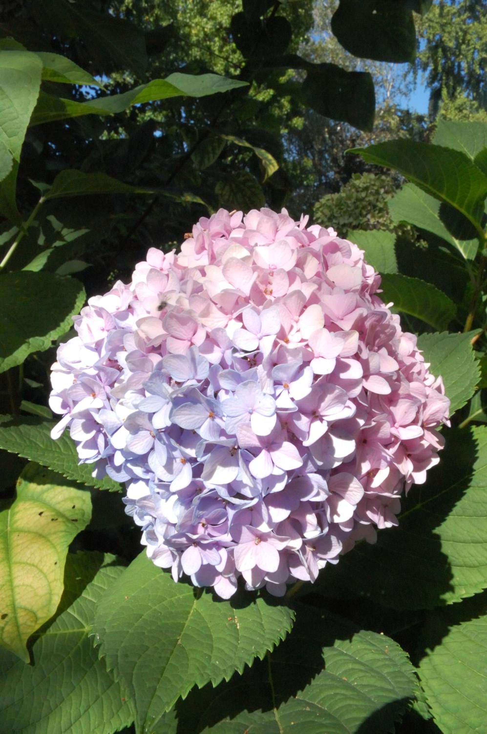 Photo 17