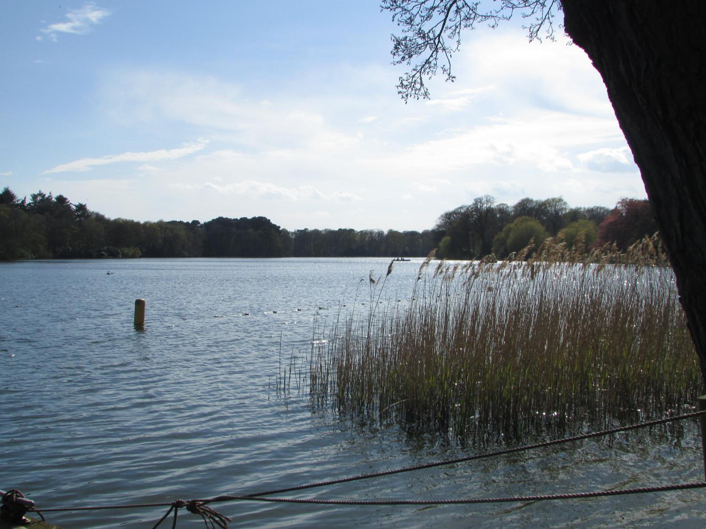 Decoy Barn Fritton