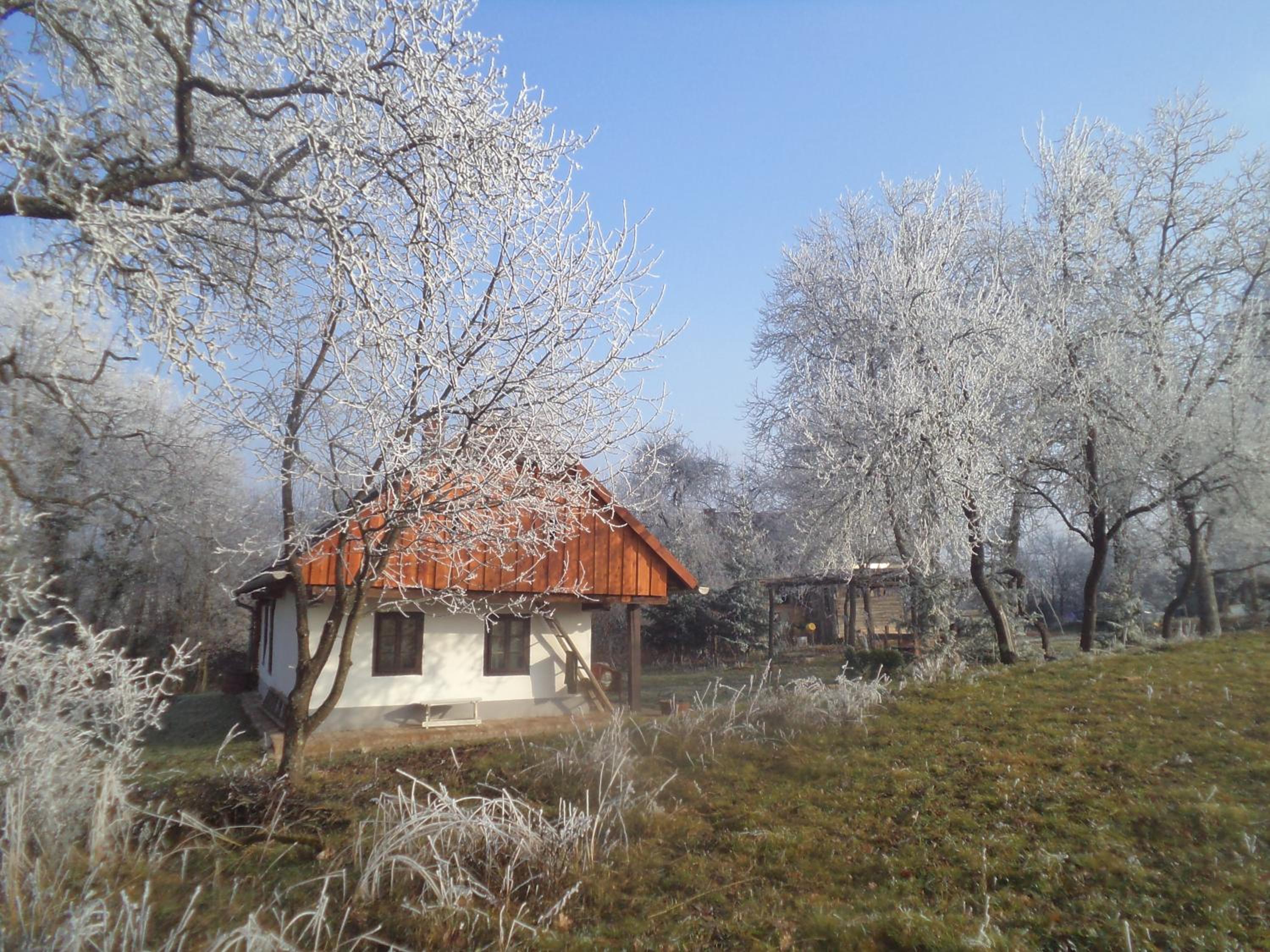 Photo 100