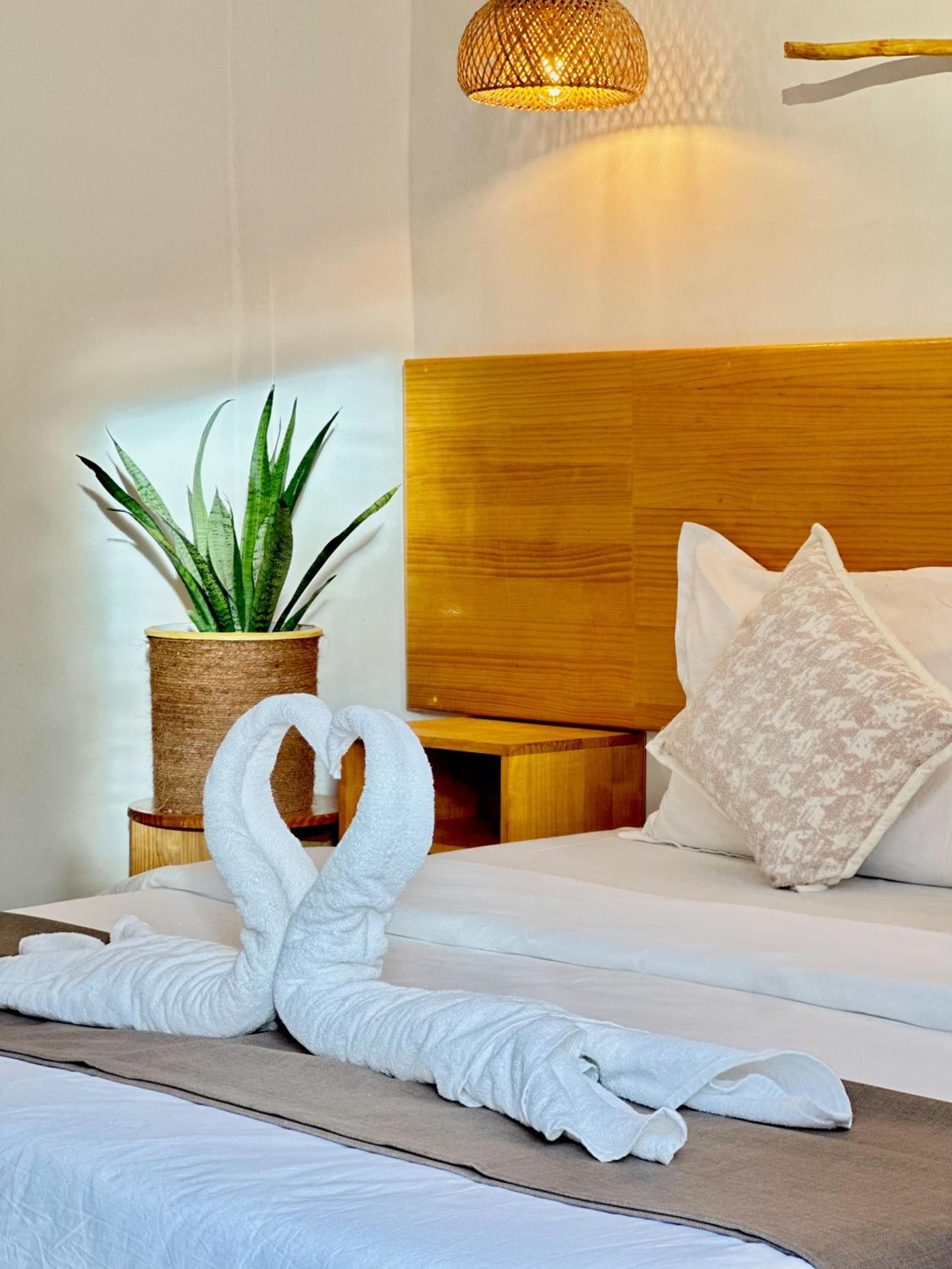 Eco Palm Mathiveri - Guest House with Complimentary Shared Kitchen & Laundry