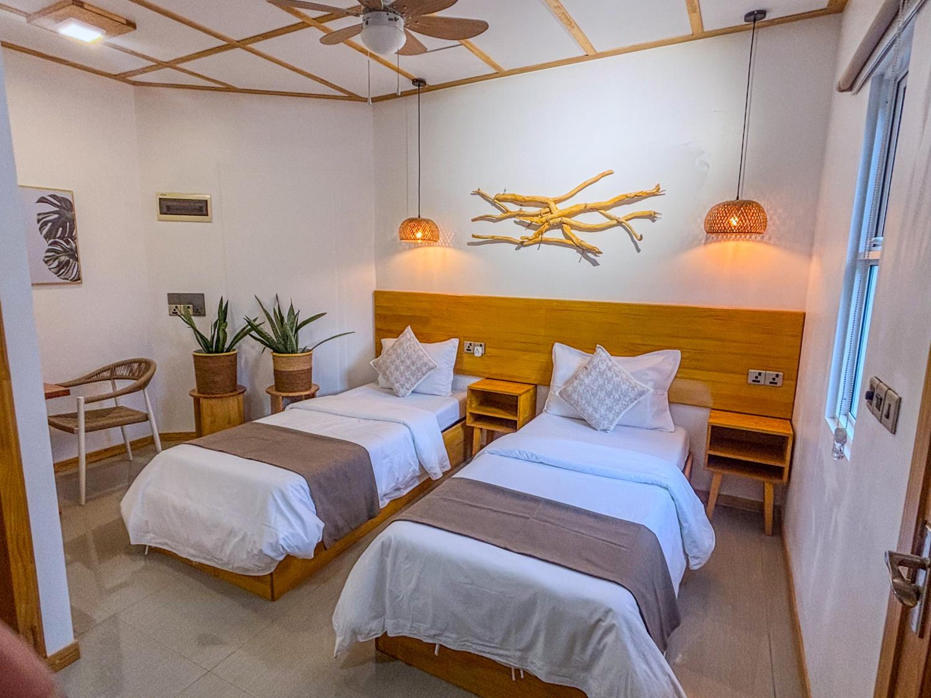 Eco Palm Mathiveri - Guest House with Complimentary Shared Kitchen & Laundry