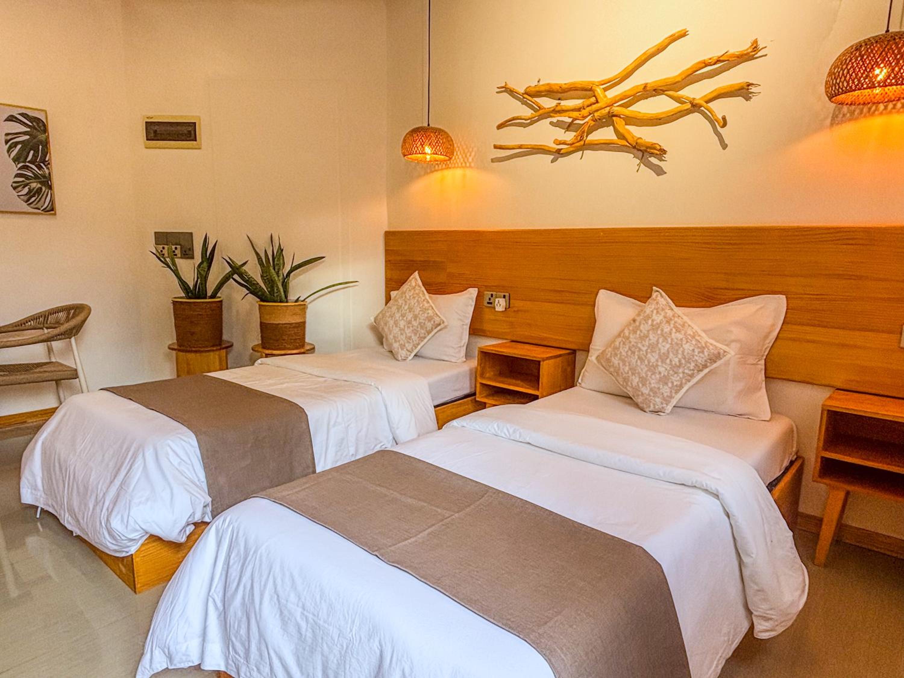 Eco Palm Mathiveri - Guest House with Complimentary Shared Kitchen & Laundry