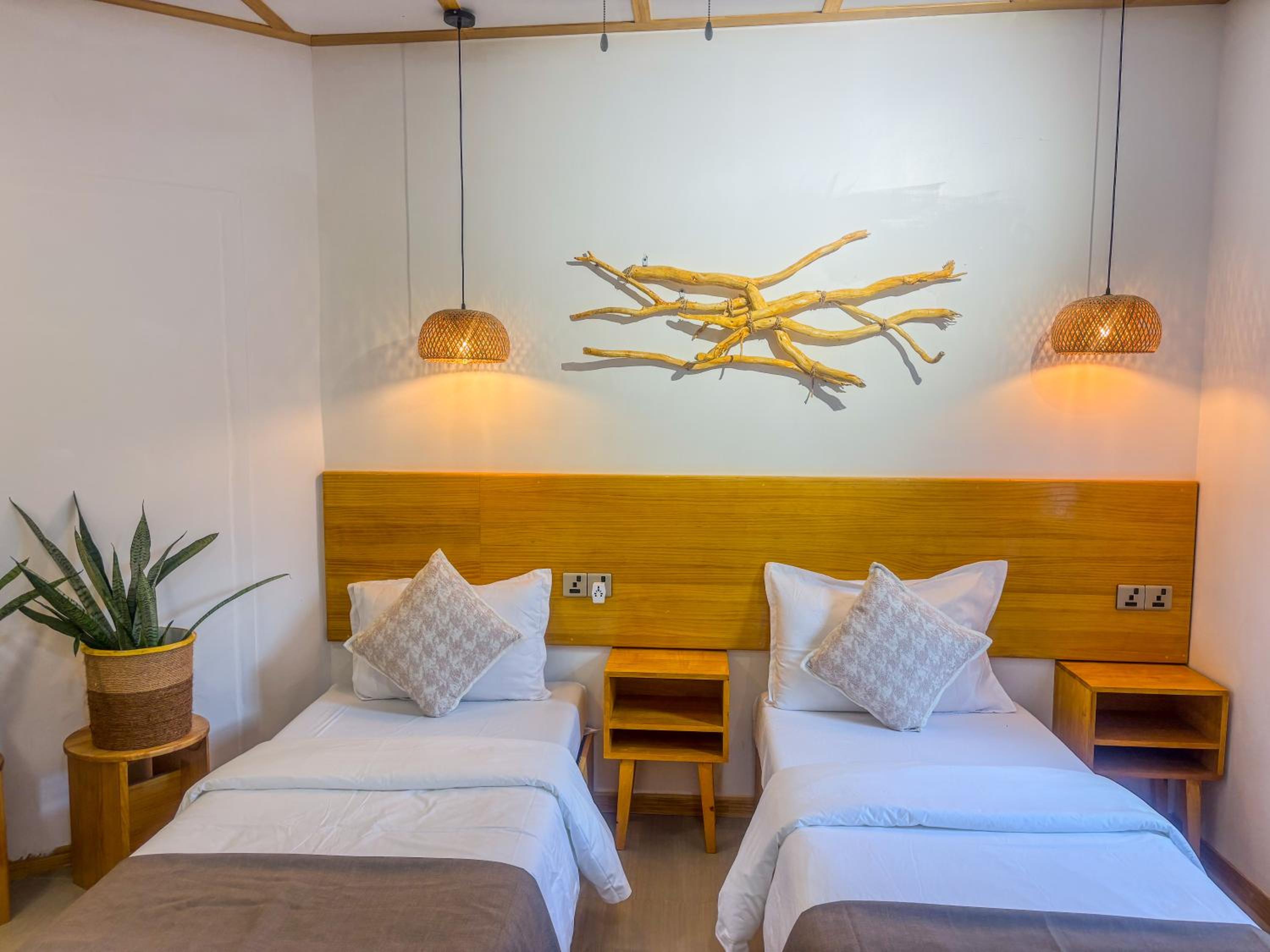 Eco Palm Mathiveri - Guest House with Complimentary Shared Kitchen & Laundry