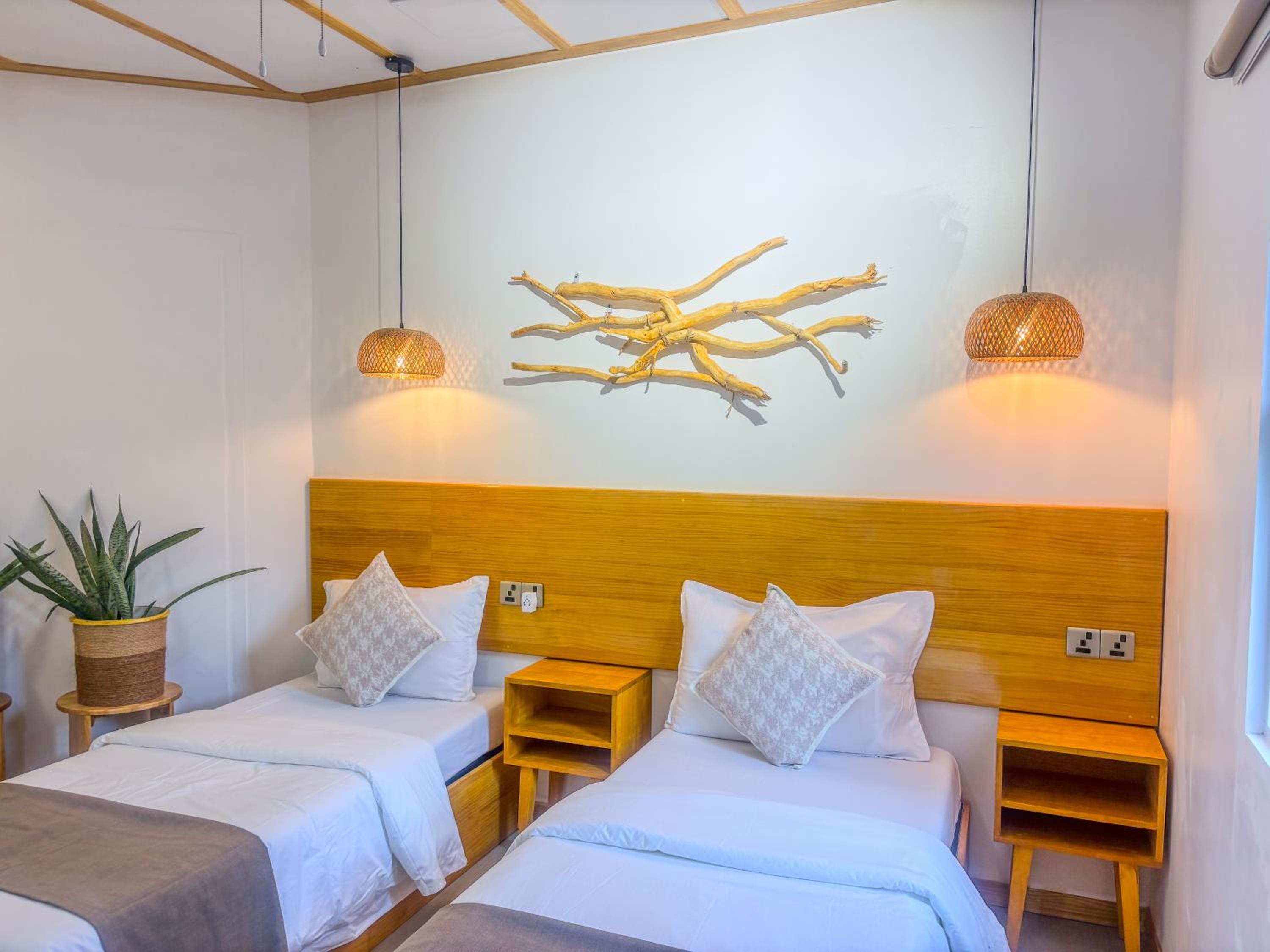 Eco Palm Mathiveri - Guest House with Complimentary Shared Kitchen & Laundry