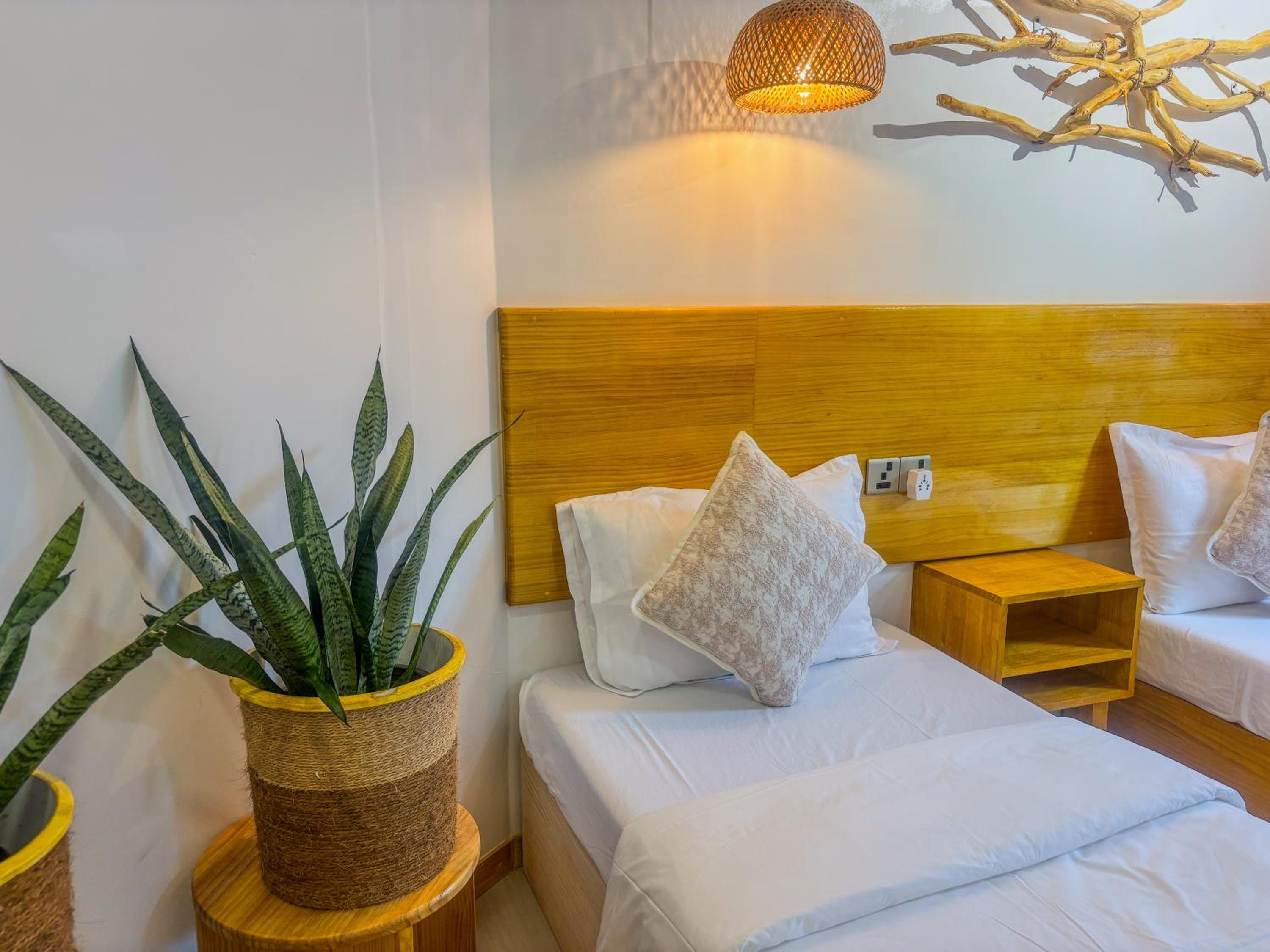 Eco Palm Mathiveri - Guest House with Complimentary Shared Kitchen & Laundry