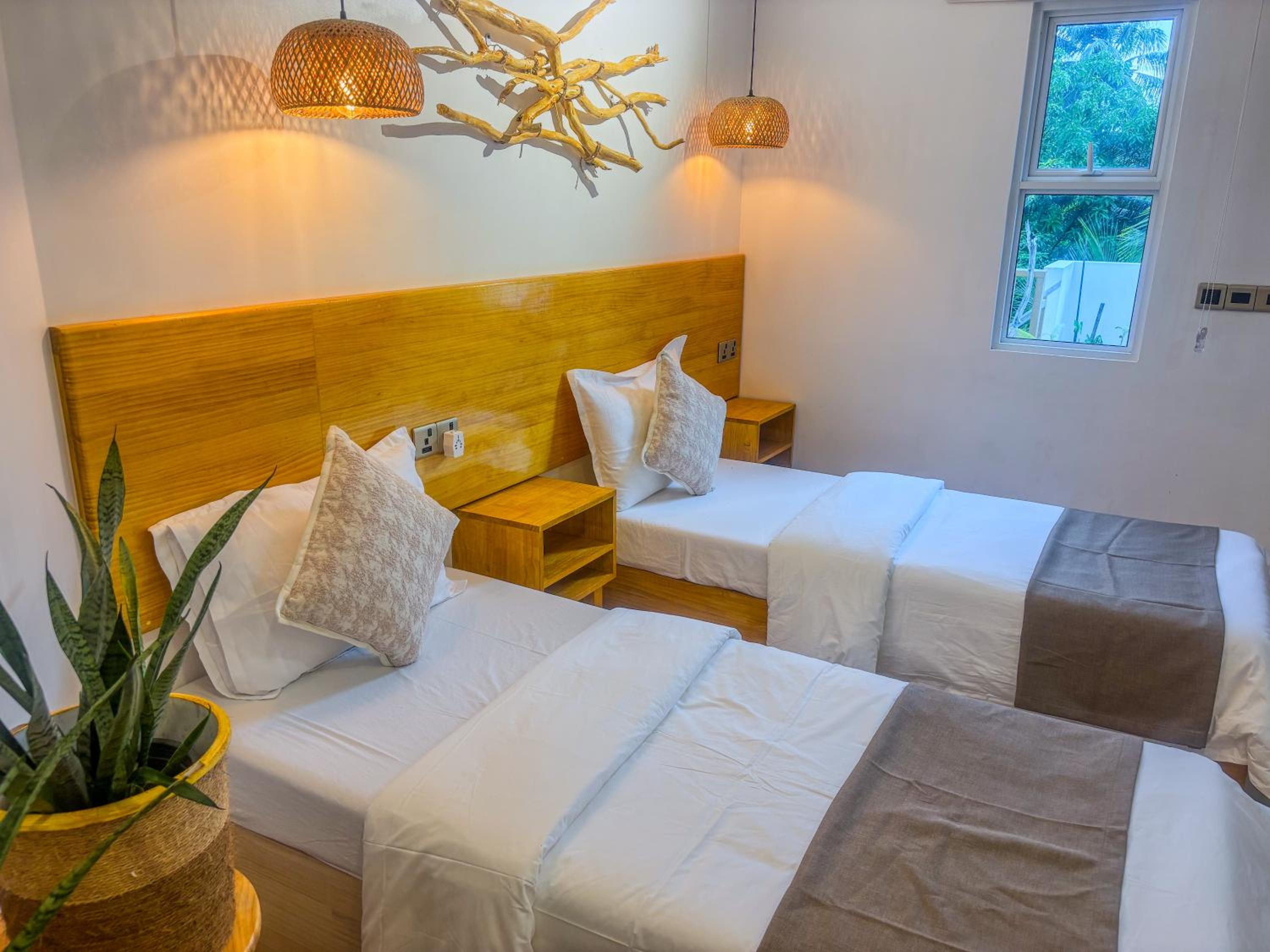 Eco Palm Mathiveri - Guest House with Complimentary Shared Kitchen & Laundry