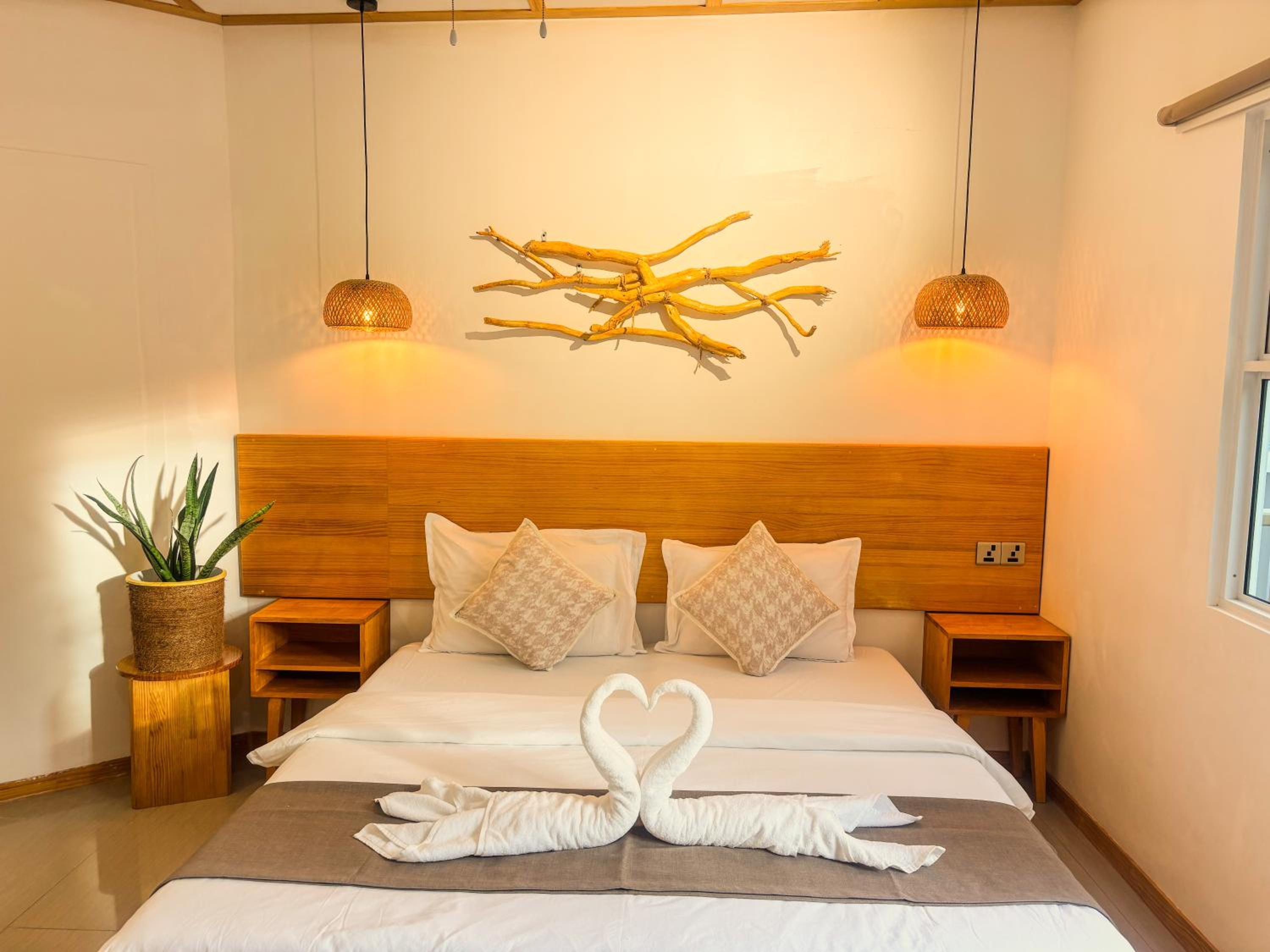 Eco Palm Mathiveri - Guest House with Complimentary Shared Kitchen & Laundry