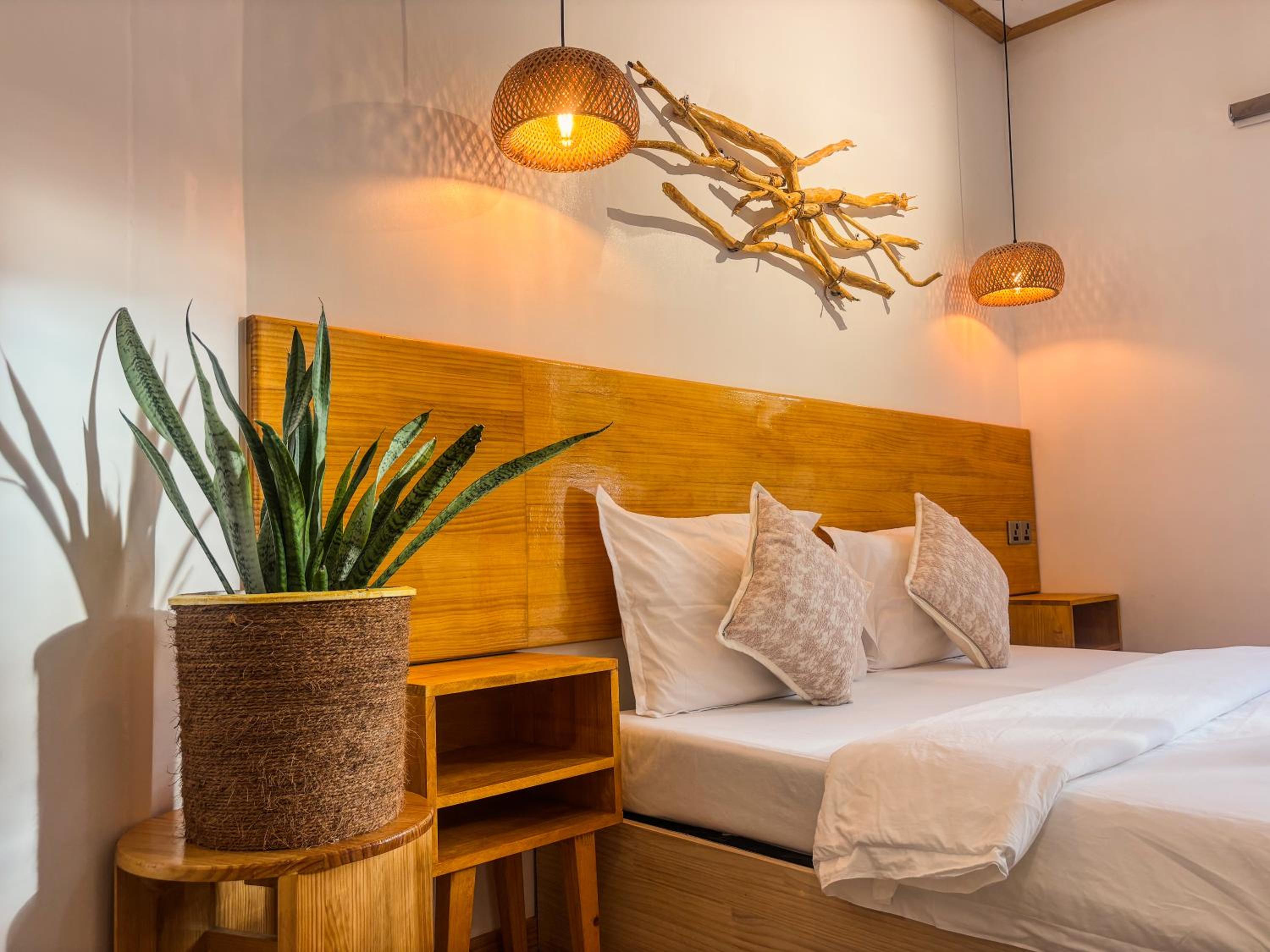 Eco Palm Mathiveri - Guest House with Complimentary Shared Kitchen & Laundry