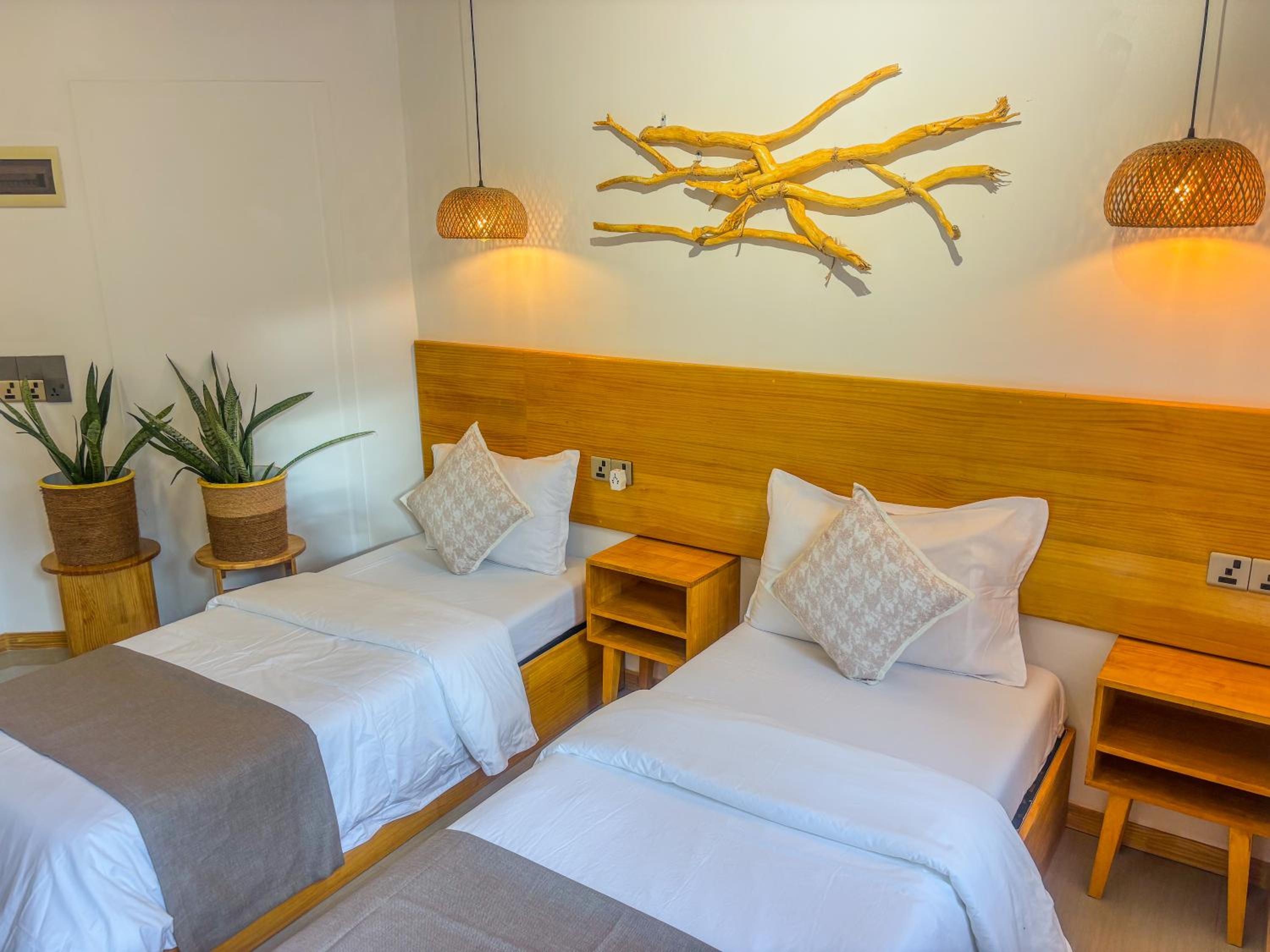 Eco Palm Maldives photo 3