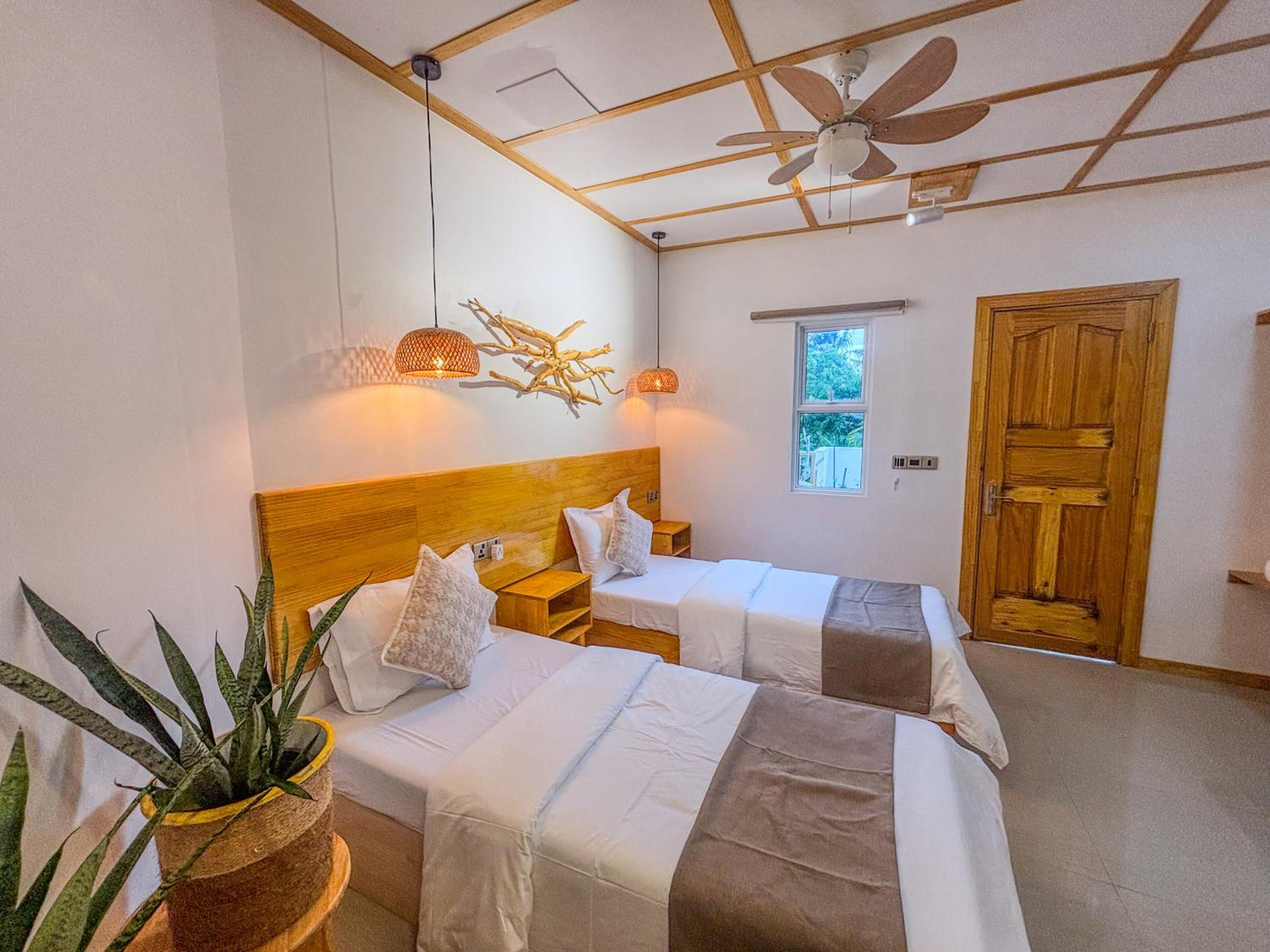 Eco Palm Maldives photo 2