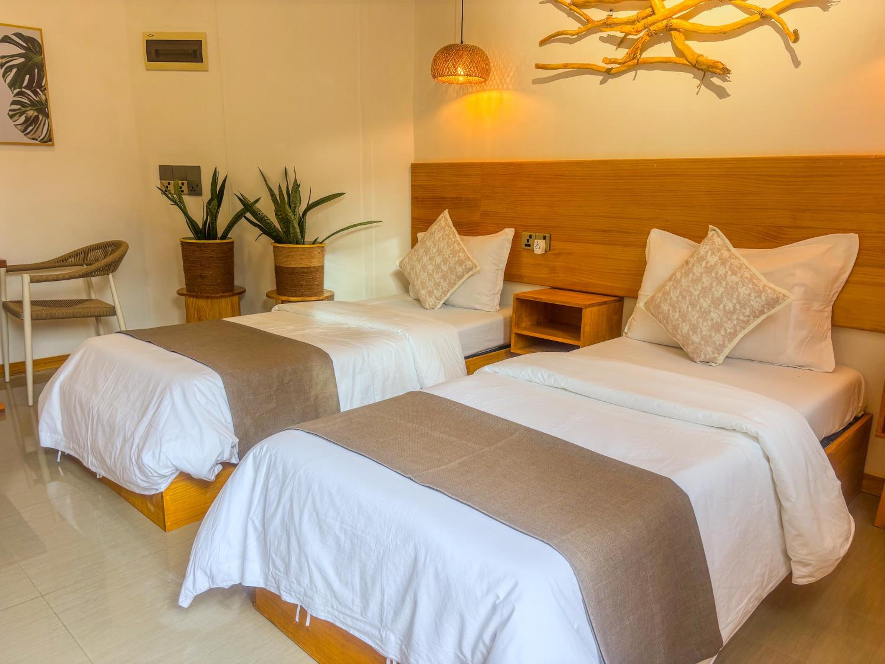 Eco Palm Mathiveri - Guest House with Complimentary Shared Kitchen & Laundry