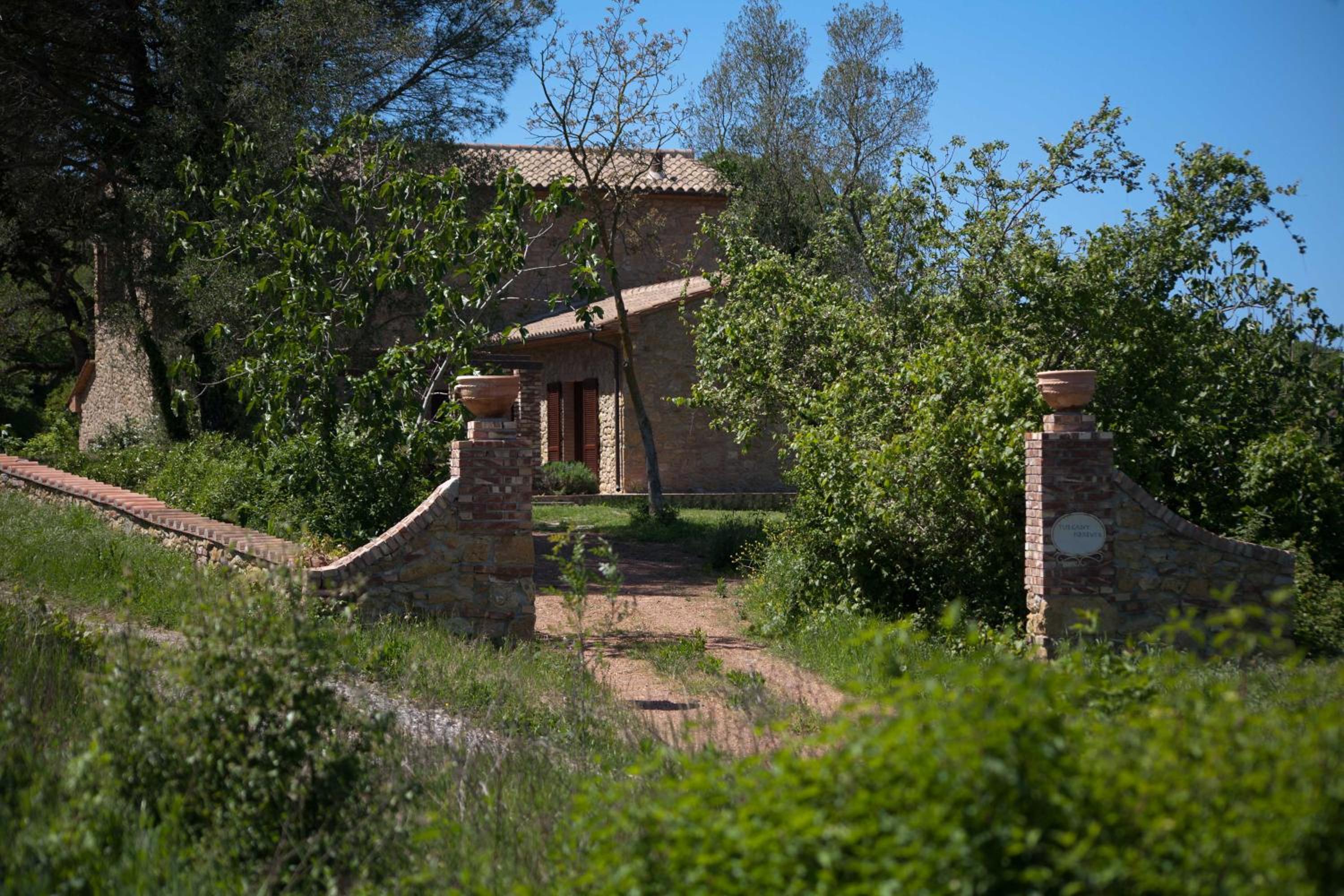 Photo 9
