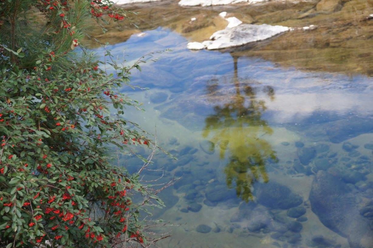 Serranias Del Tabaquillo