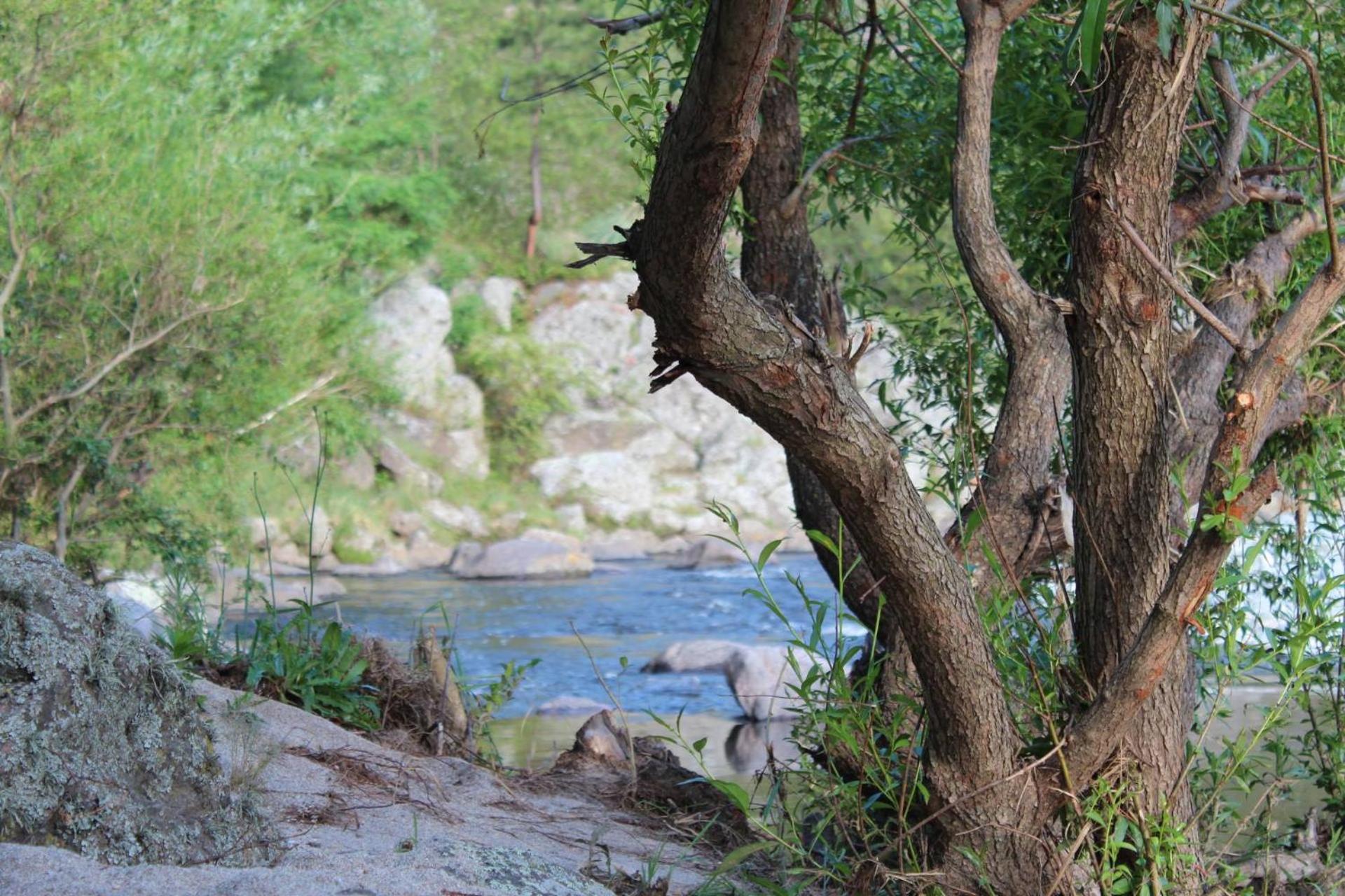 Serranias Del Tabaquillo