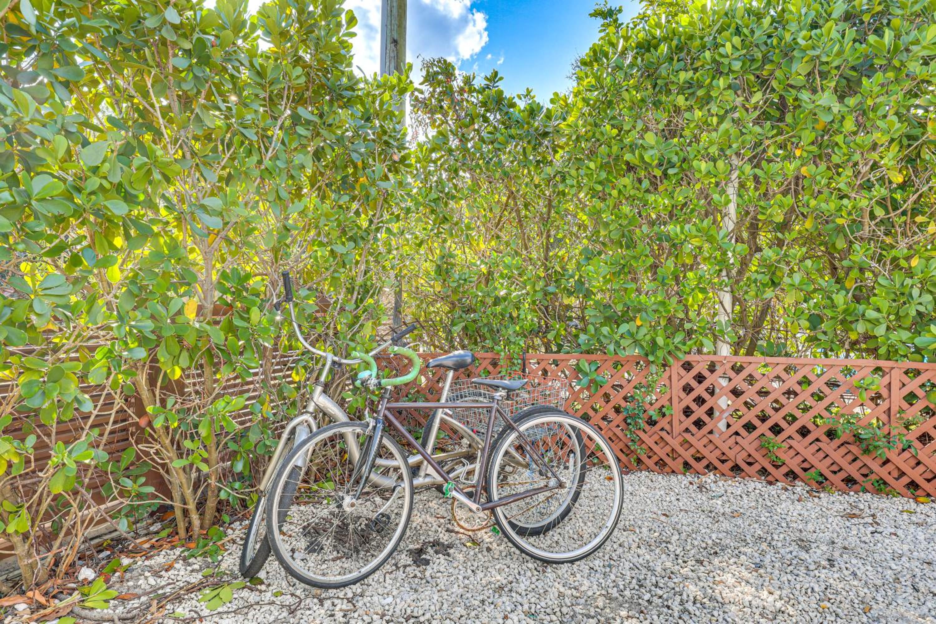 Tropical backyard with pool 10 min from Miami Beach!