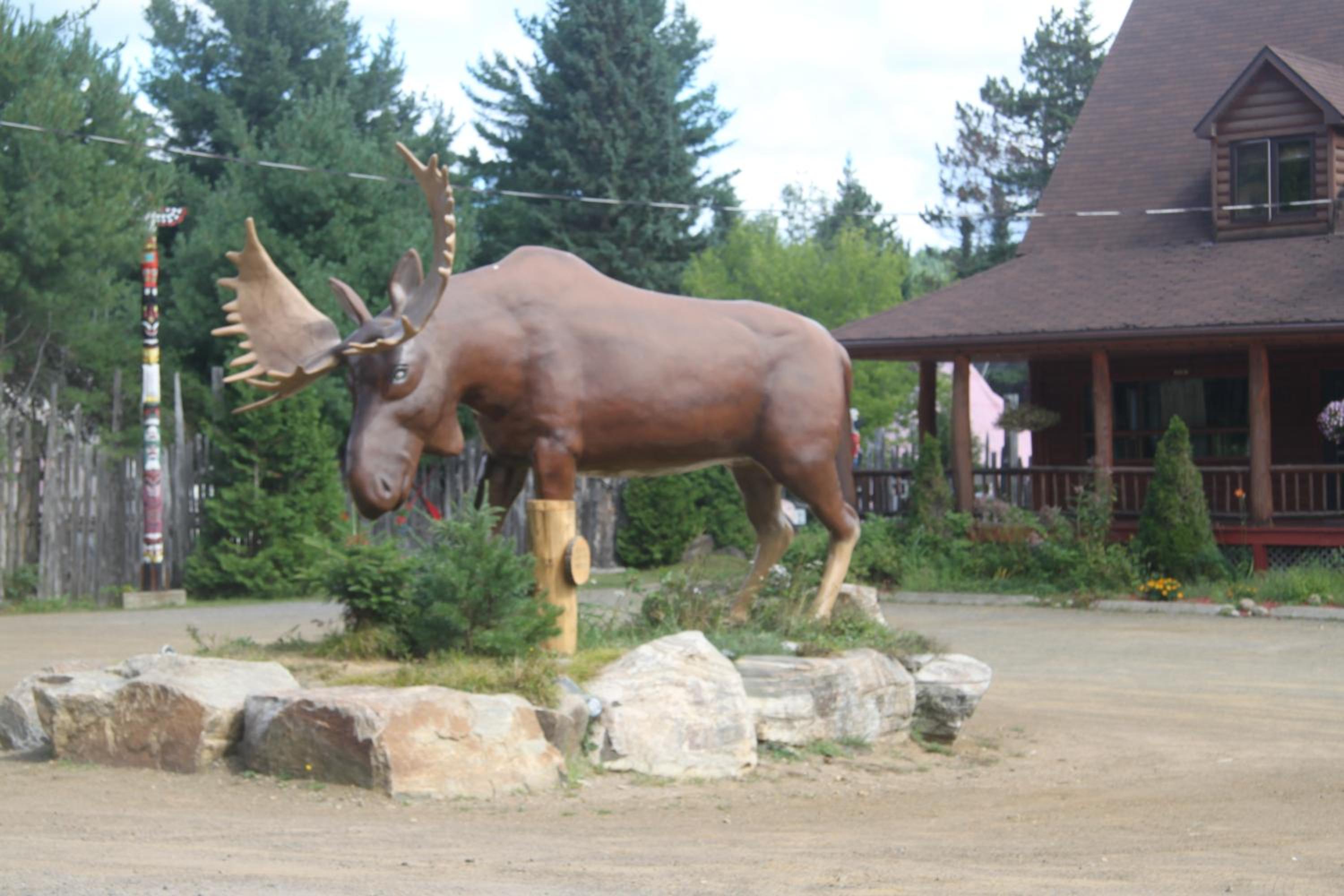 L'Auberge Refuge du Trappeur
