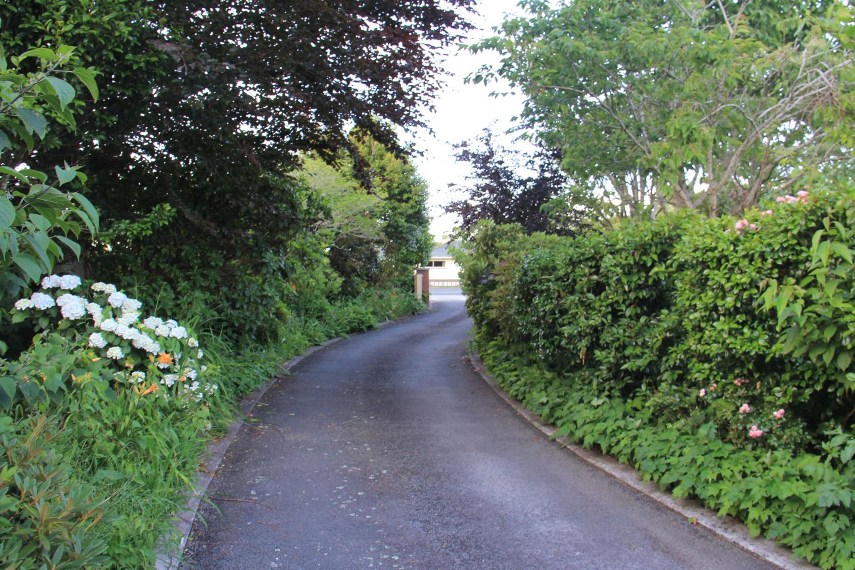Photo 33